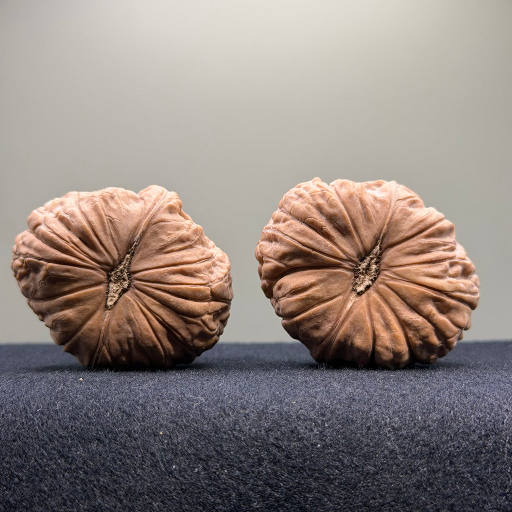 Pumpkin Wenwan Walnut · 41mm · Natural · Select Ritual