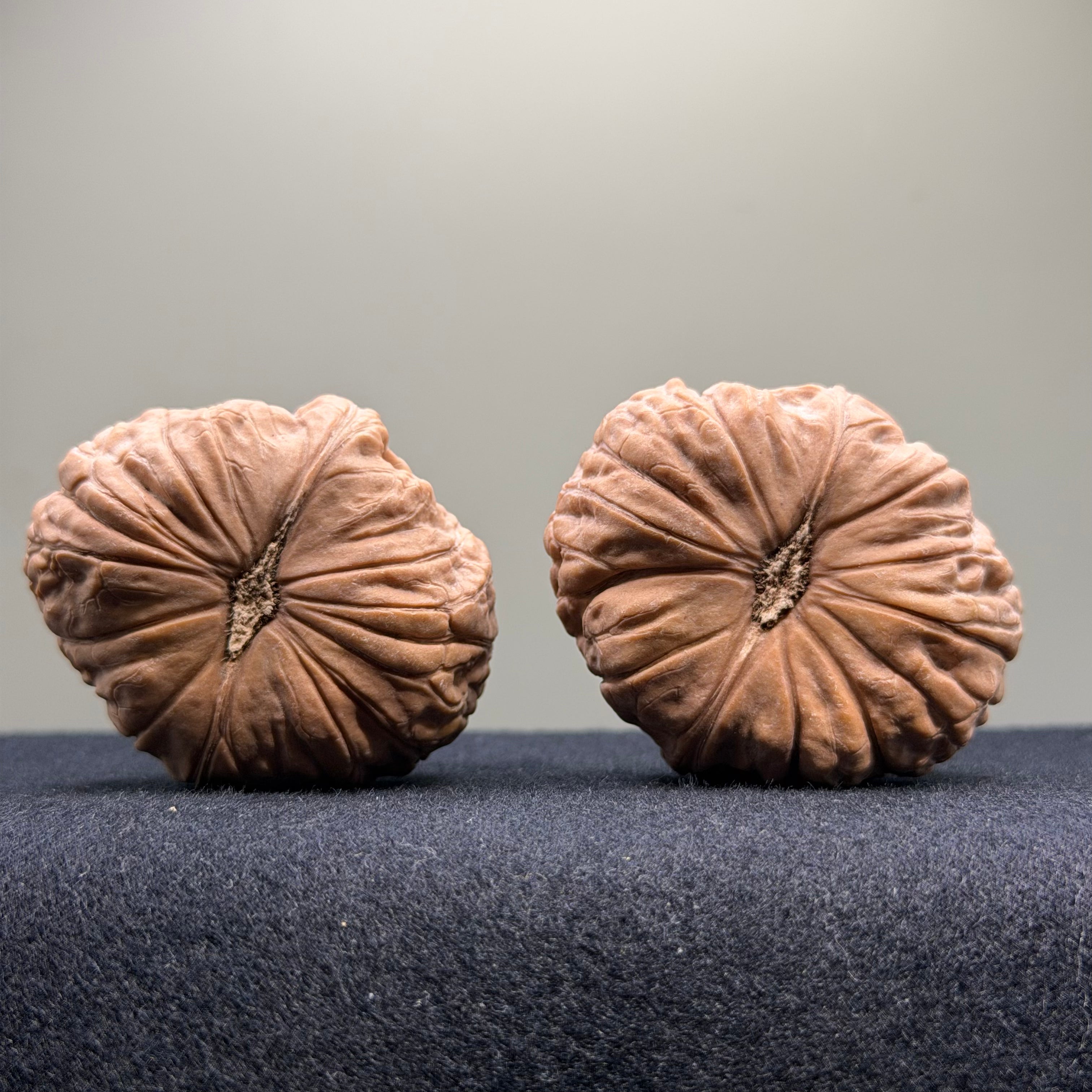 Pumpkin Wenwan Walnut · 41mm · Natural · Select Ritual