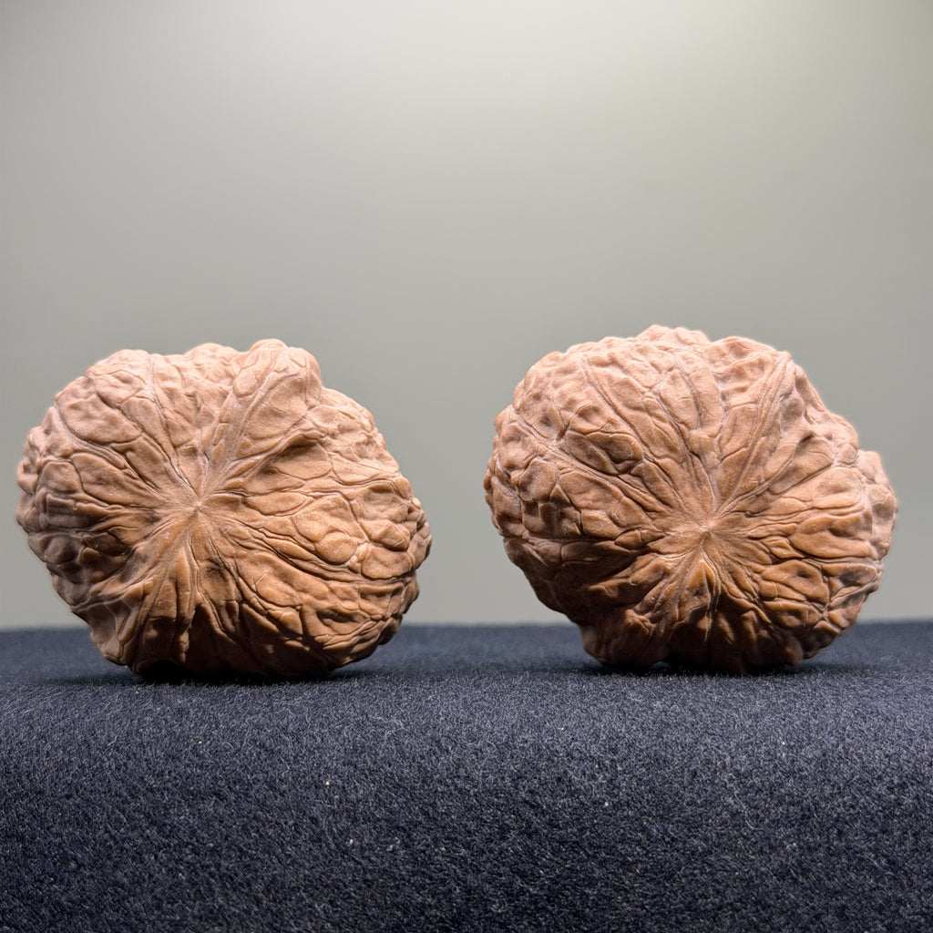 Pumpkin Wenwan Walnut · 41mm · Natural · Select Ritual