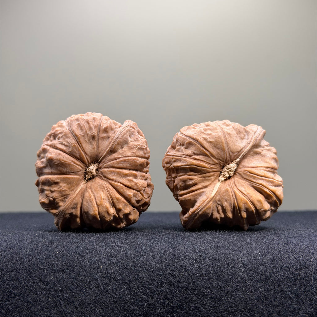 Pumpkin Wenwan Walnut · 42mm · Natural · Select Ritual