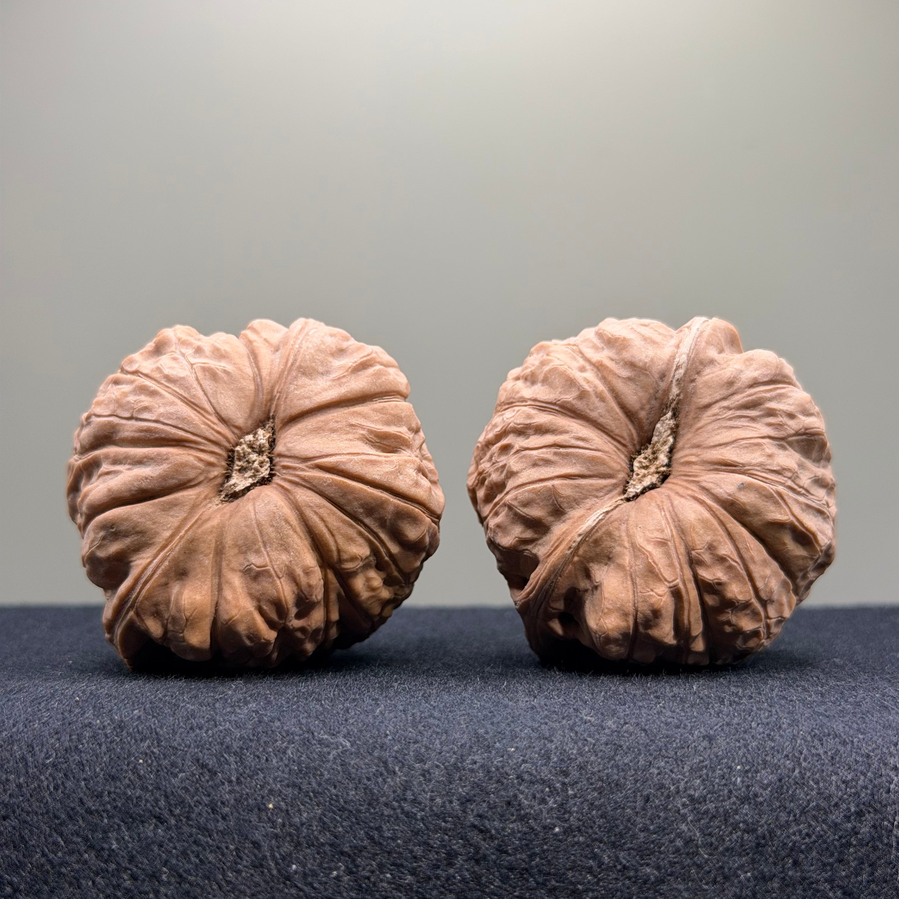 Giant Pumpkin Wenwan Walnut · 47mm · Natural · Select Ritual