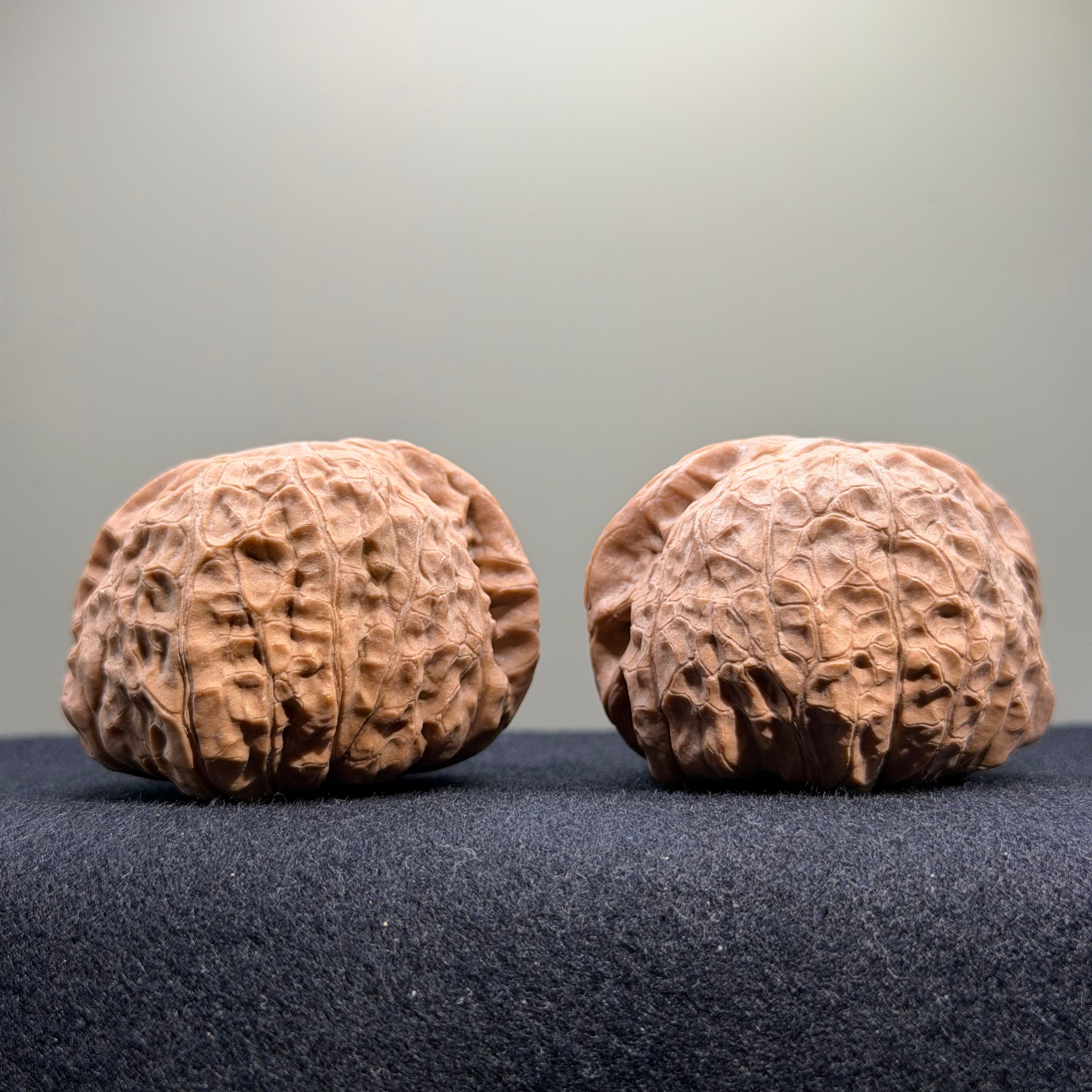Giant Pumpkin Wenwan Walnut · 47mm · Natural · Select Ritual