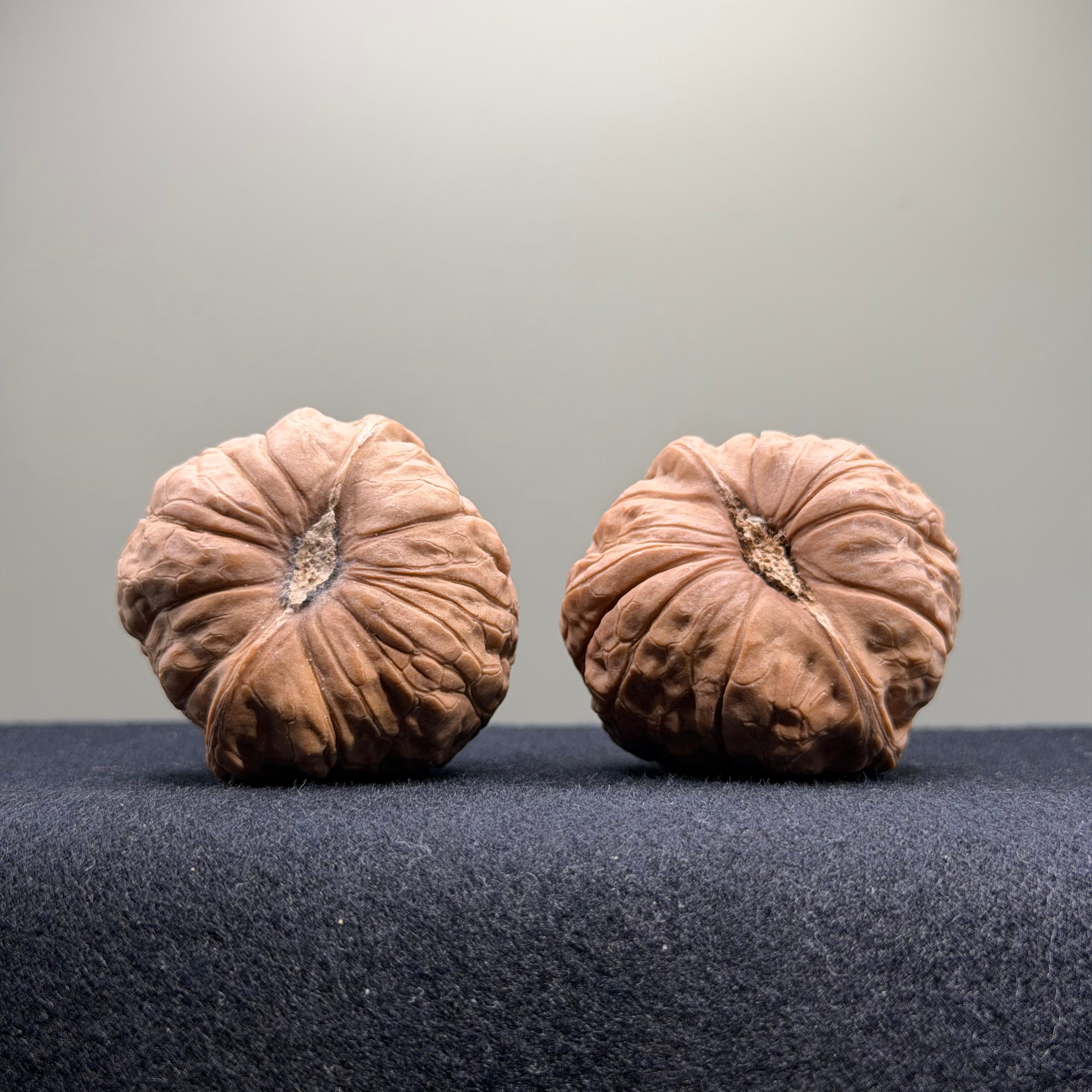 Pumpkin Wenwan Walnut · 41mm · Natural · Select Ritual