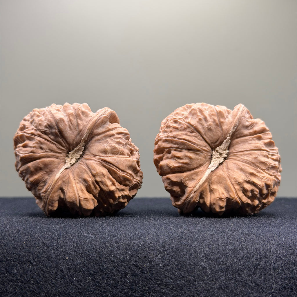 Pumpkin Wenwan Walnut · 43mm · Natural · Select Ritual