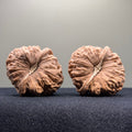 Pumpkin Wenwan Walnut · 43mm · Natural · Select Ritual