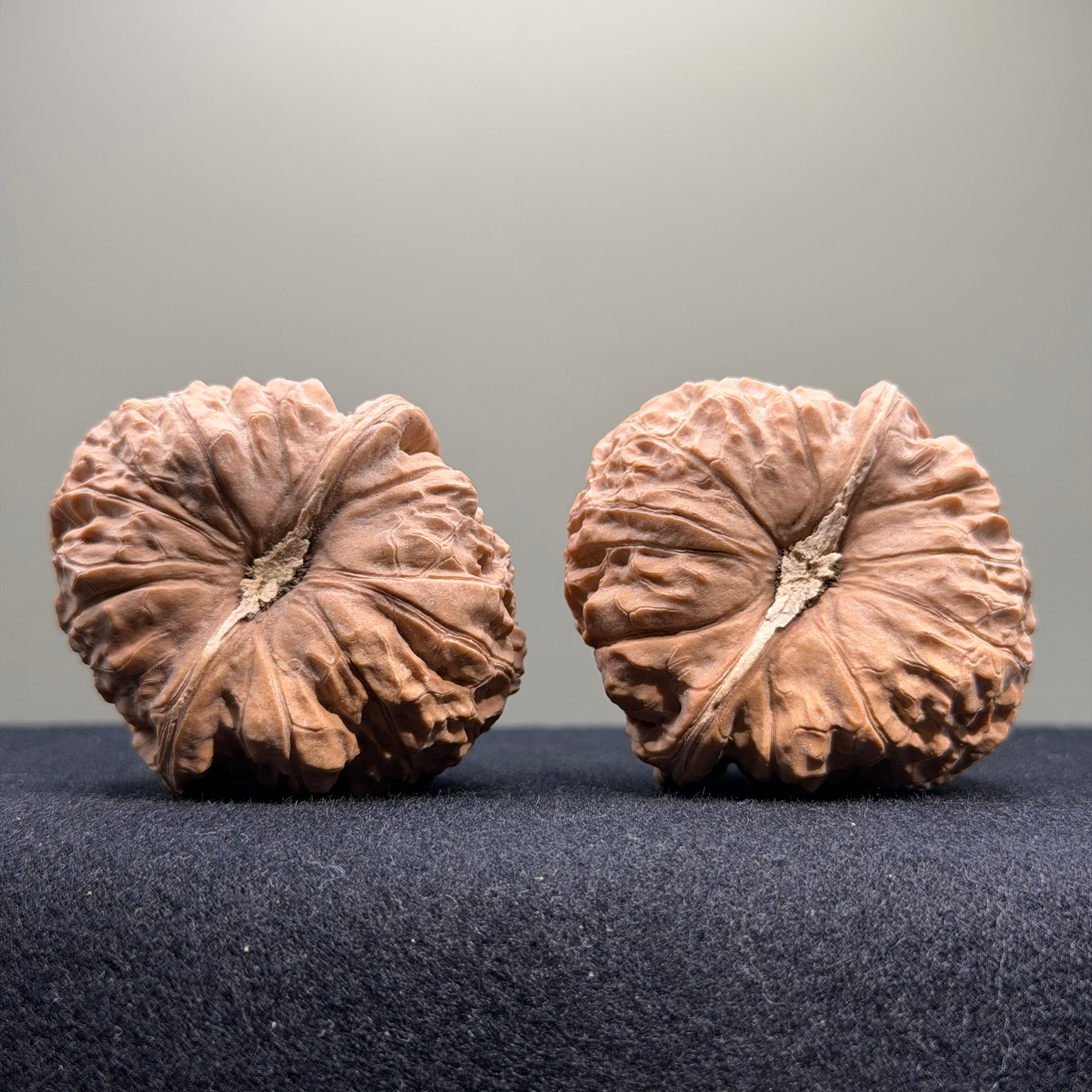 Pumpkin Wenwan Walnut · 43mm · Natural · Select Ritual