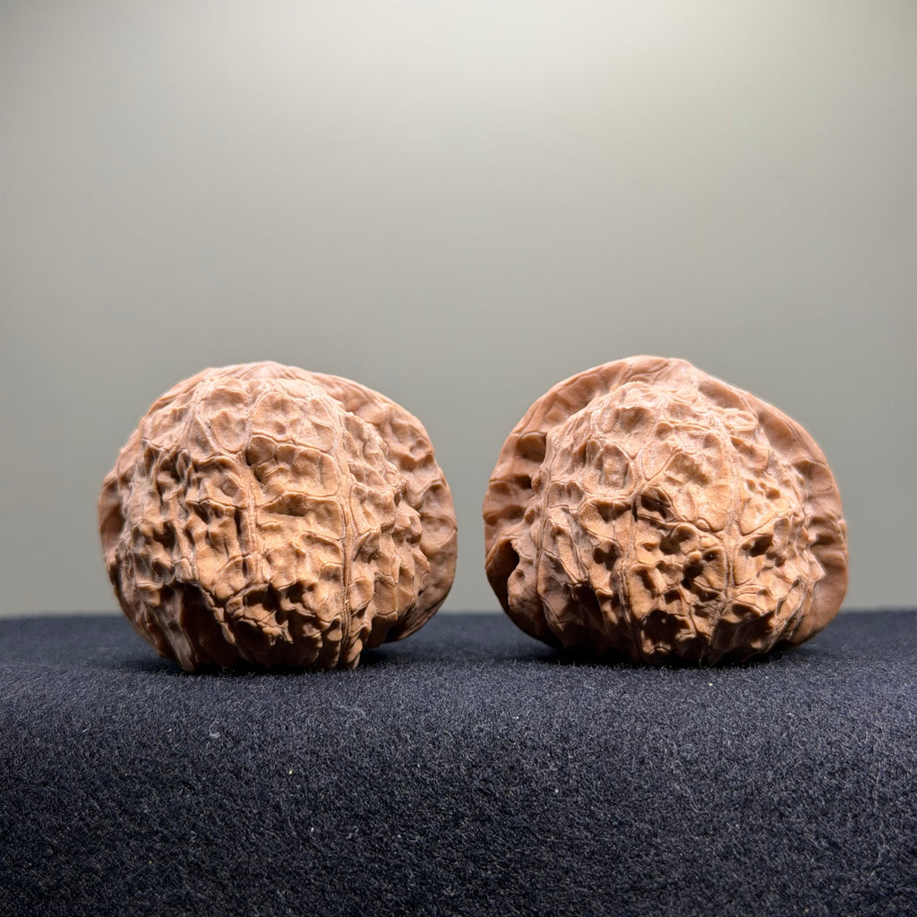 Pumpkin Wenwan Walnut · 43mm · Natural · Select Ritual