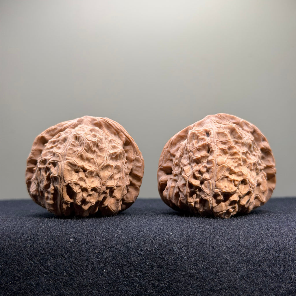 Pumpkin Wenwan Walnut · 43mm · Natural · Select Ritual