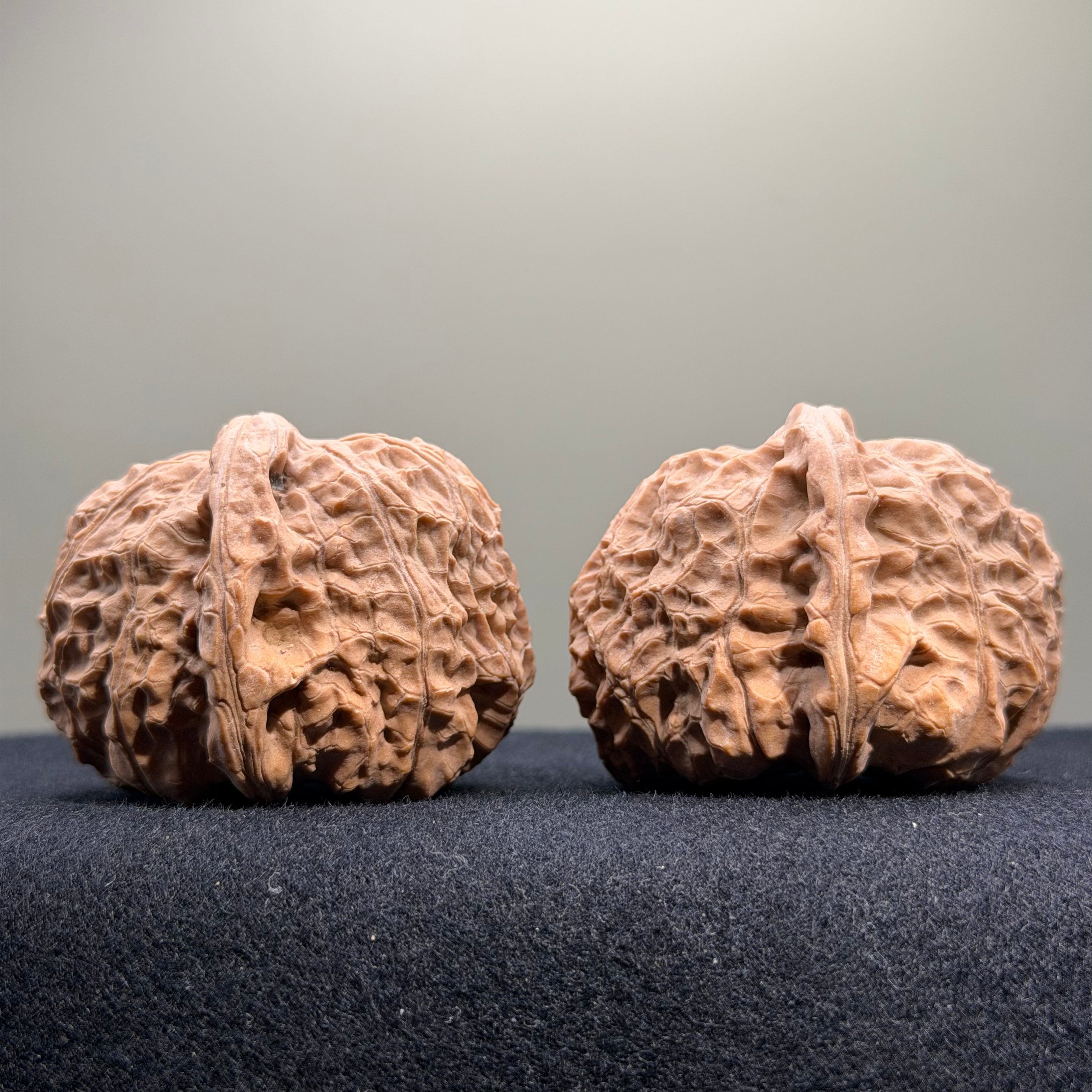 Pumpkin Wenwan Walnut · 43mm · Natural · Select Ritual