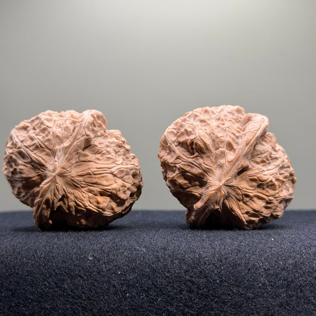 Pumpkin Wenwan Walnut · 43mm · Natural · Select Ritual
