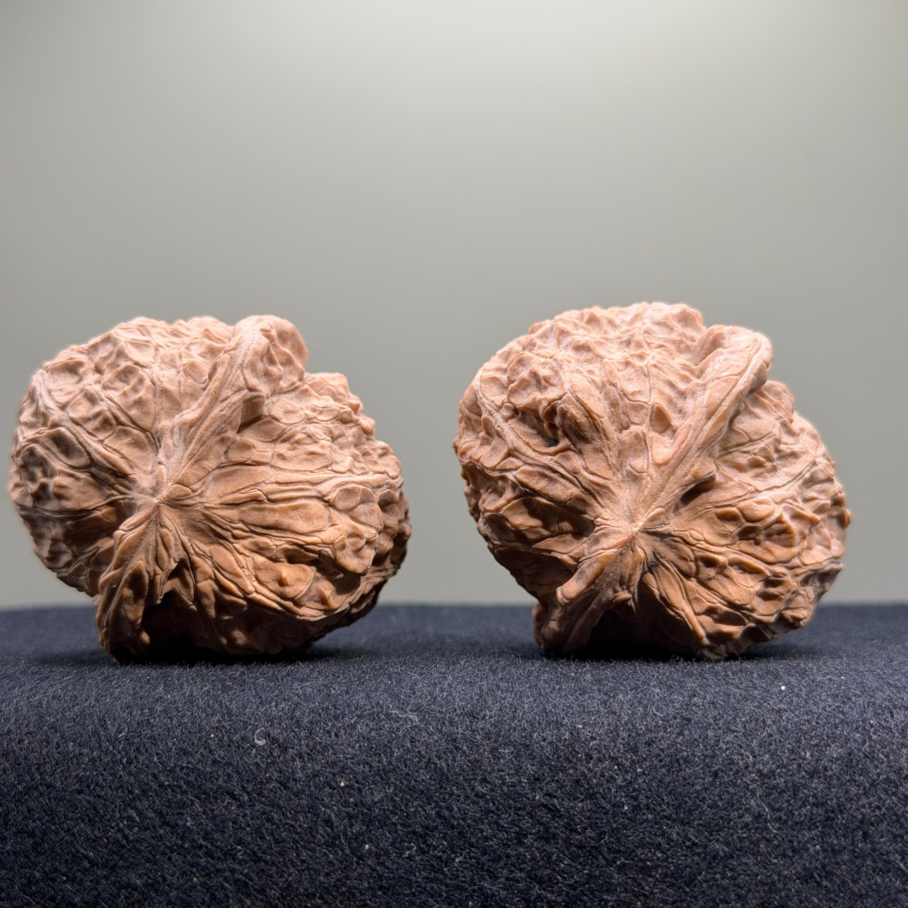 Pumpkin Wenwan Walnut · 43mm · Natural · Select Ritual