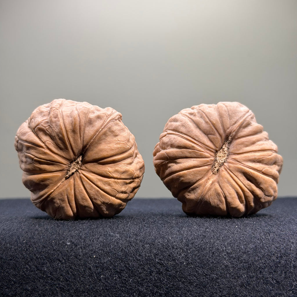 Pumpkin Wenwan Walnut · 43mm · Natural · Select Ritual