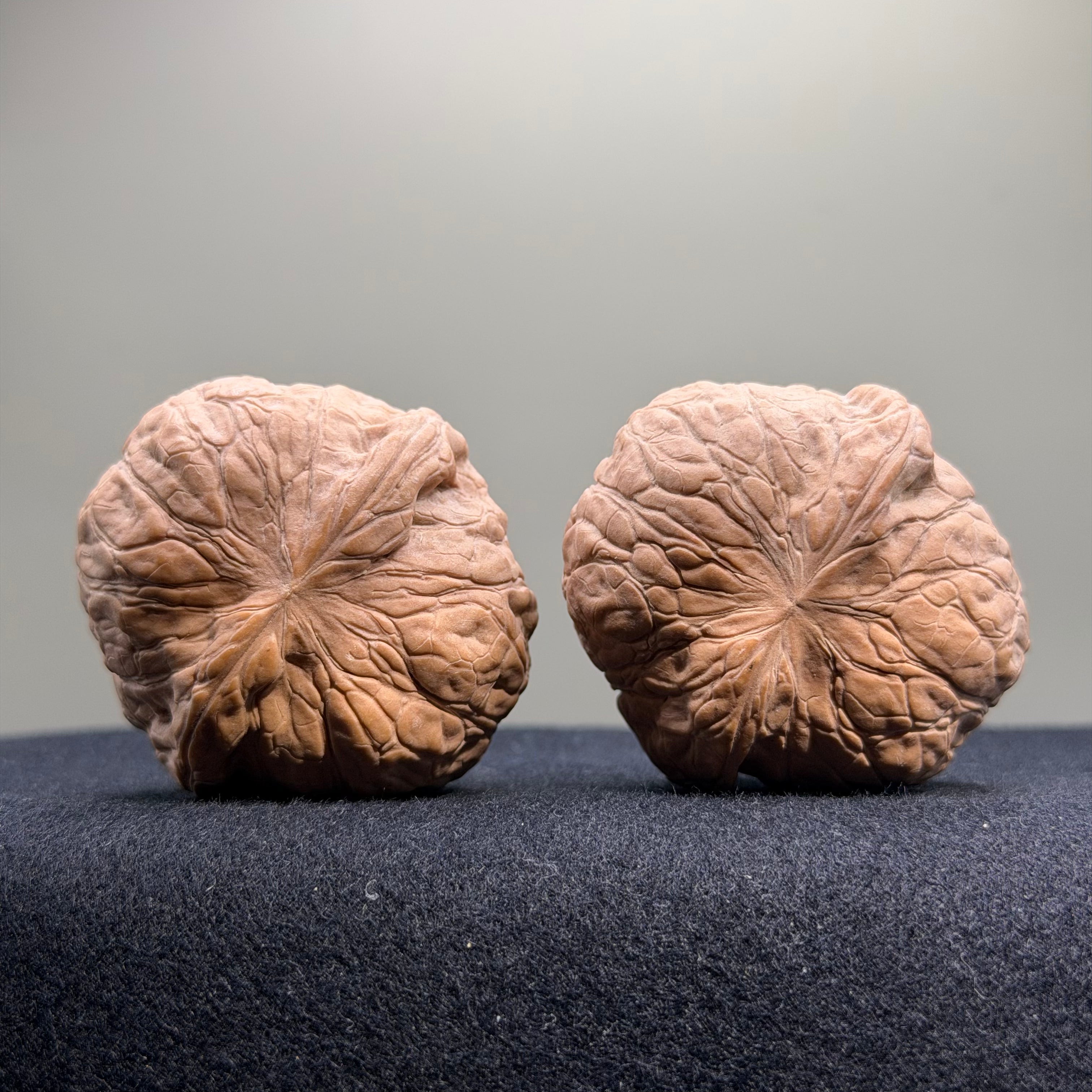 Pumpkin Wenwan Walnut · 43mm · Natural · Select Ritual
