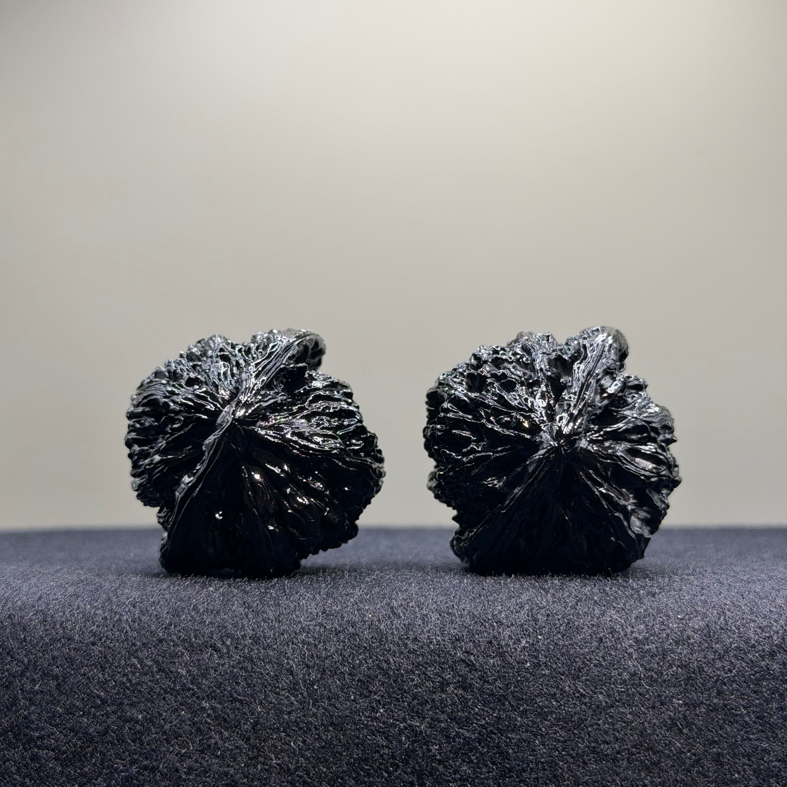 White Lion Ground Buried Wenwan Walnut · 38mm · Select Ritual