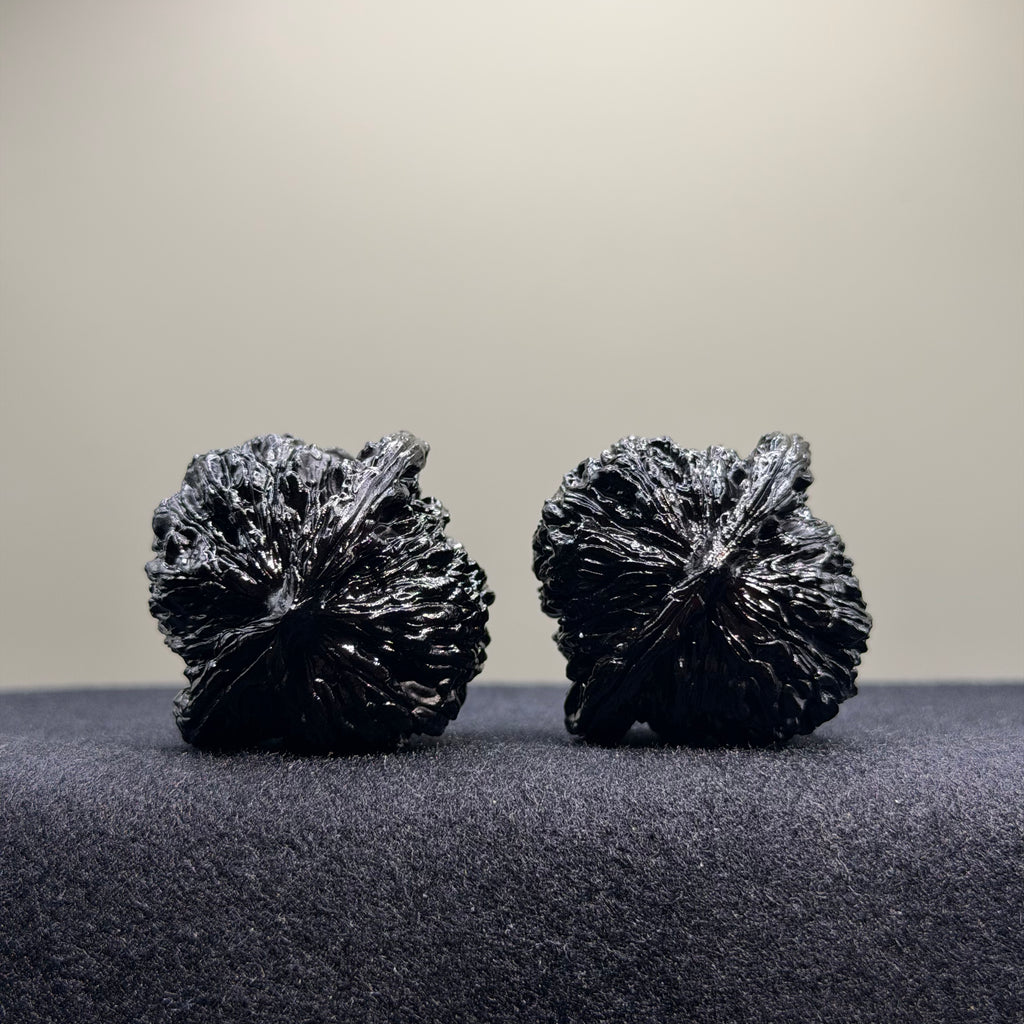 Four Towers Ground Buried Wenwan Walnut · 39mm · Select Ritual