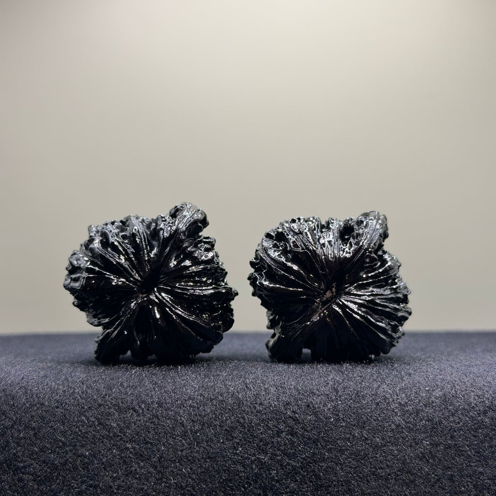 Four Towers Ground Buried Wenwan Walnut · 39mm · Select Ritual