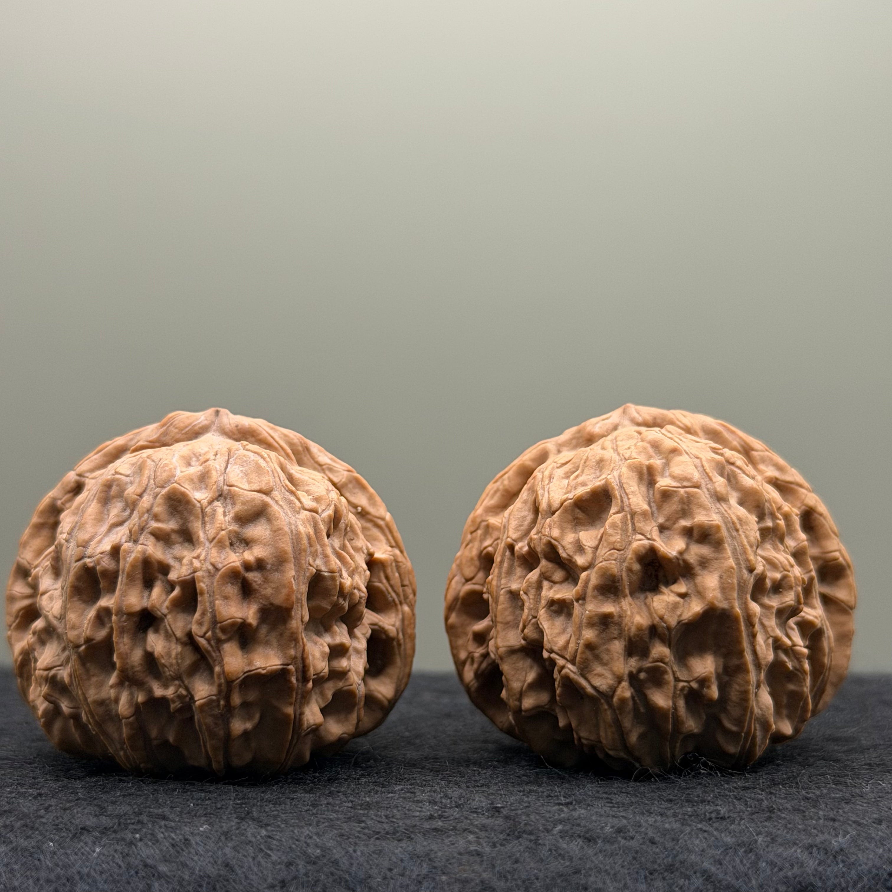 White Lion Head Wenwan Walnut
