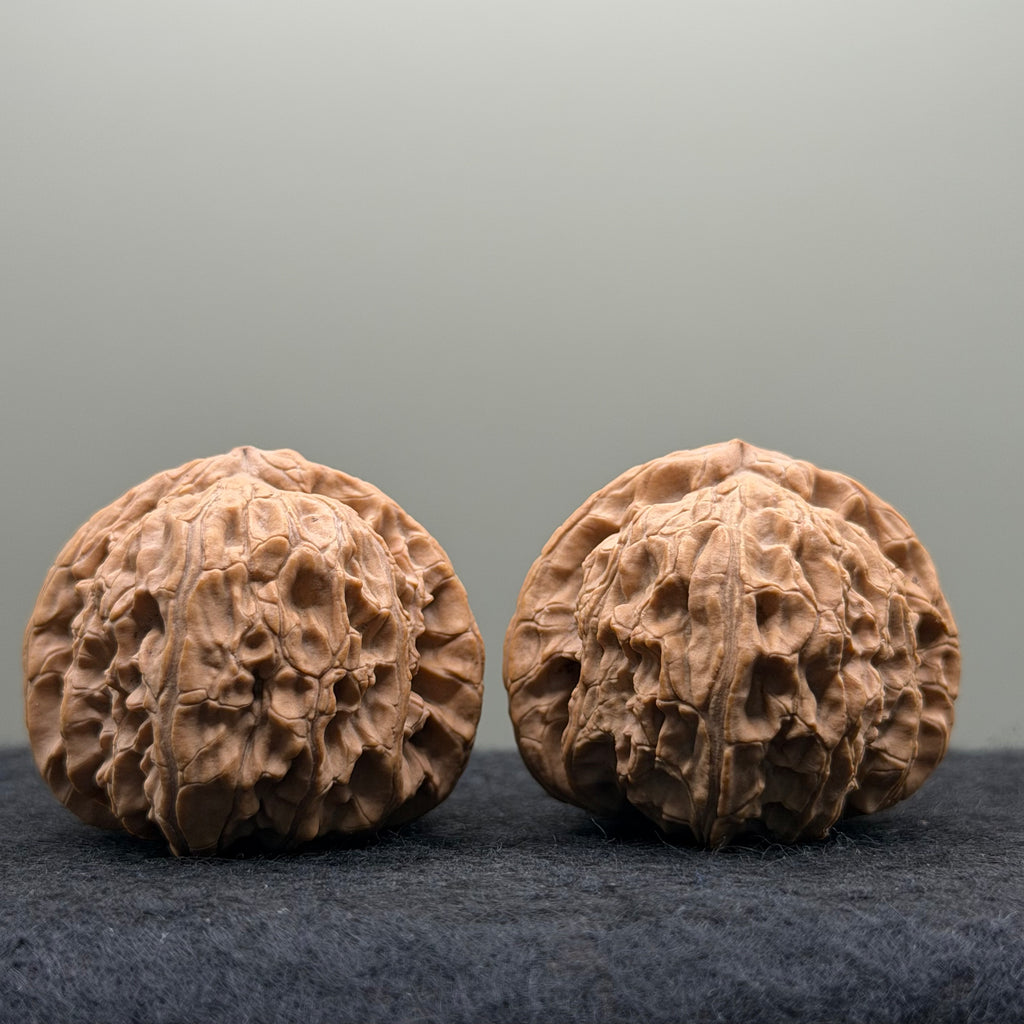 White Lion Head Wenwan Walnut