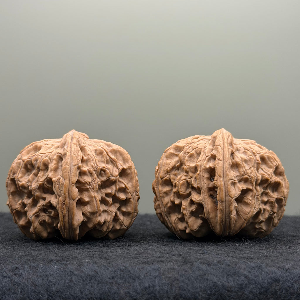 White Lion Head Wenwan Walnut