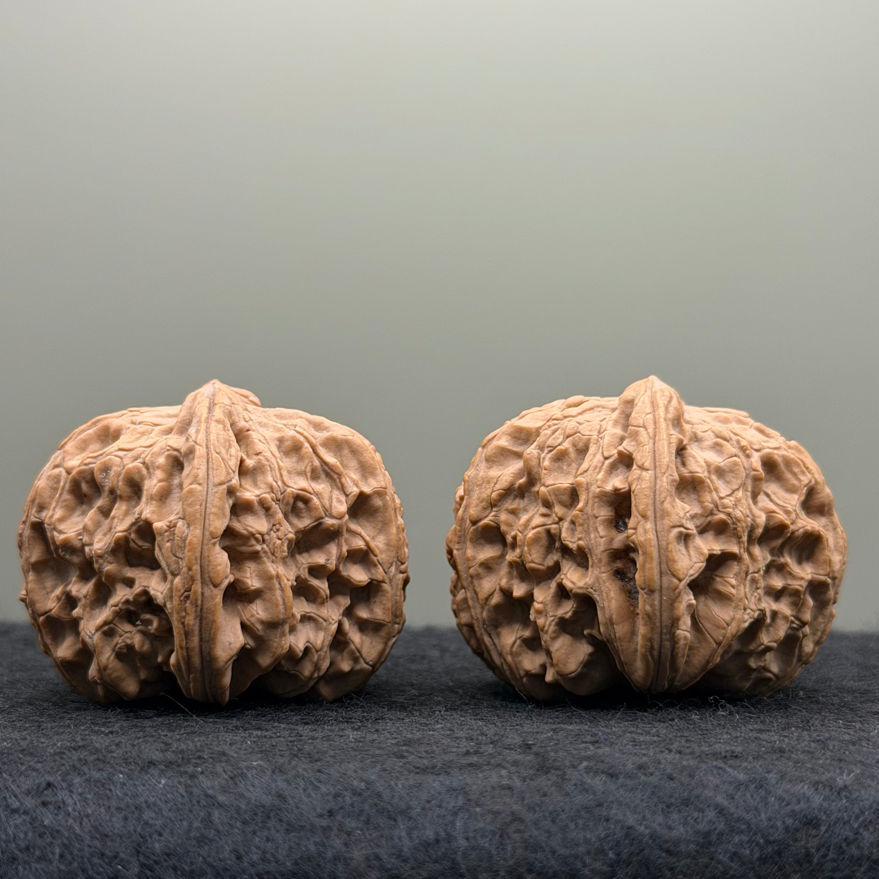 White Lion Head Wenwan Walnut