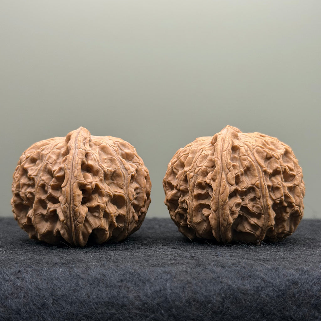 White Lion Head Wenwan Walnut