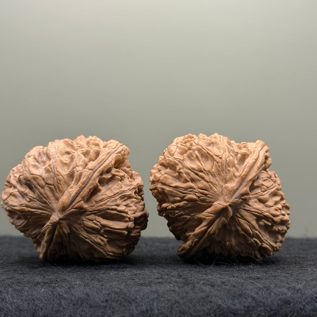 White Lion Head Wenwan Walnut