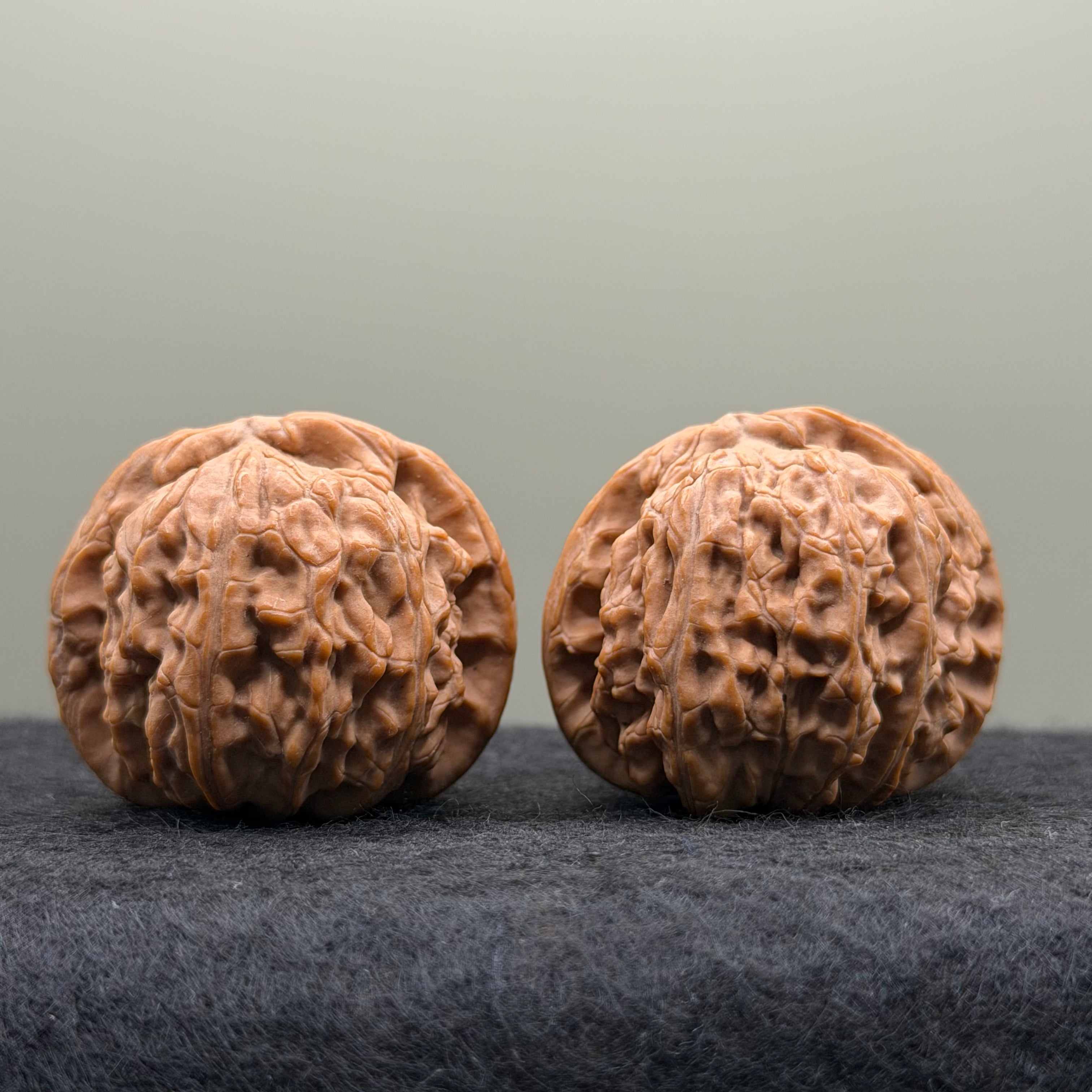 White Lion Head Wenwan Walnut