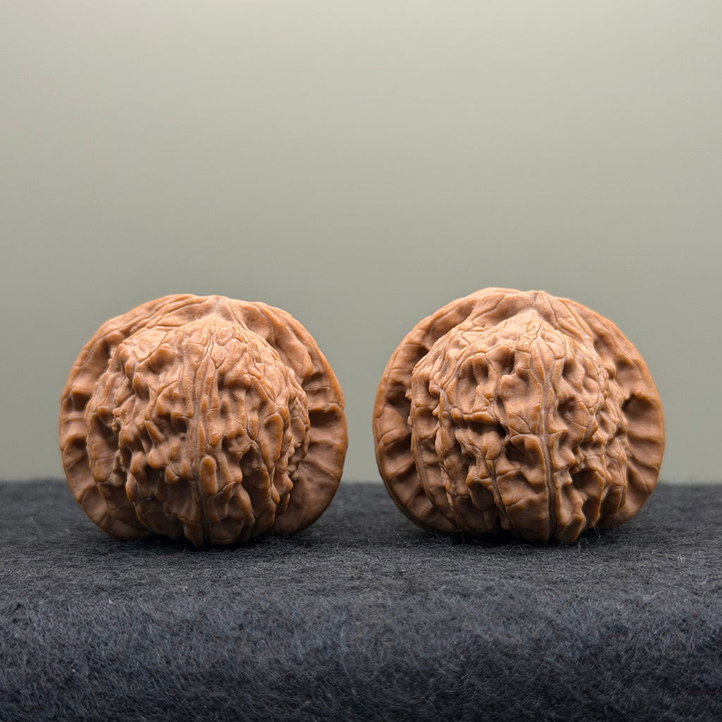 White Lion Head Wenwan Walnut