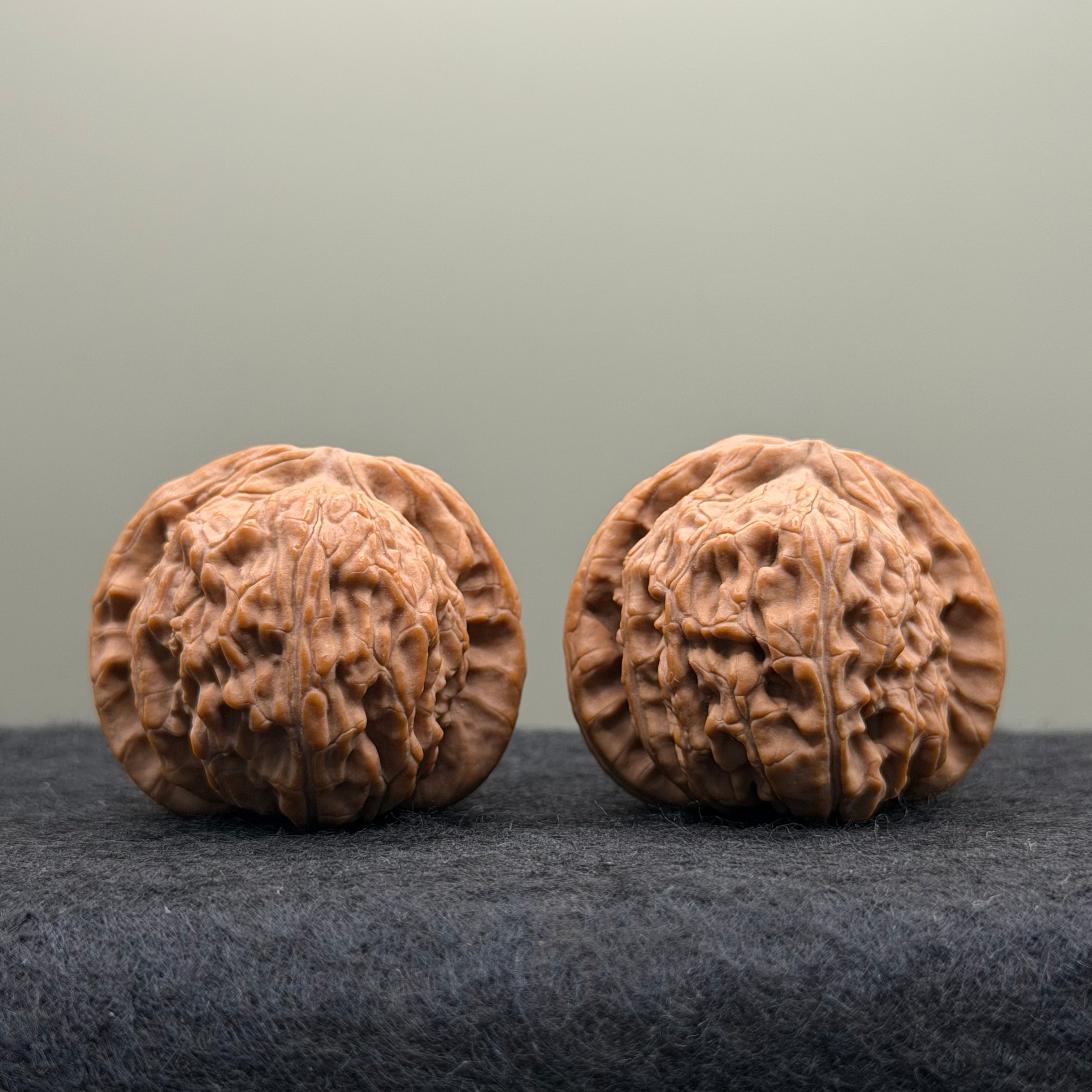 White Lion Head Wenwan Walnut