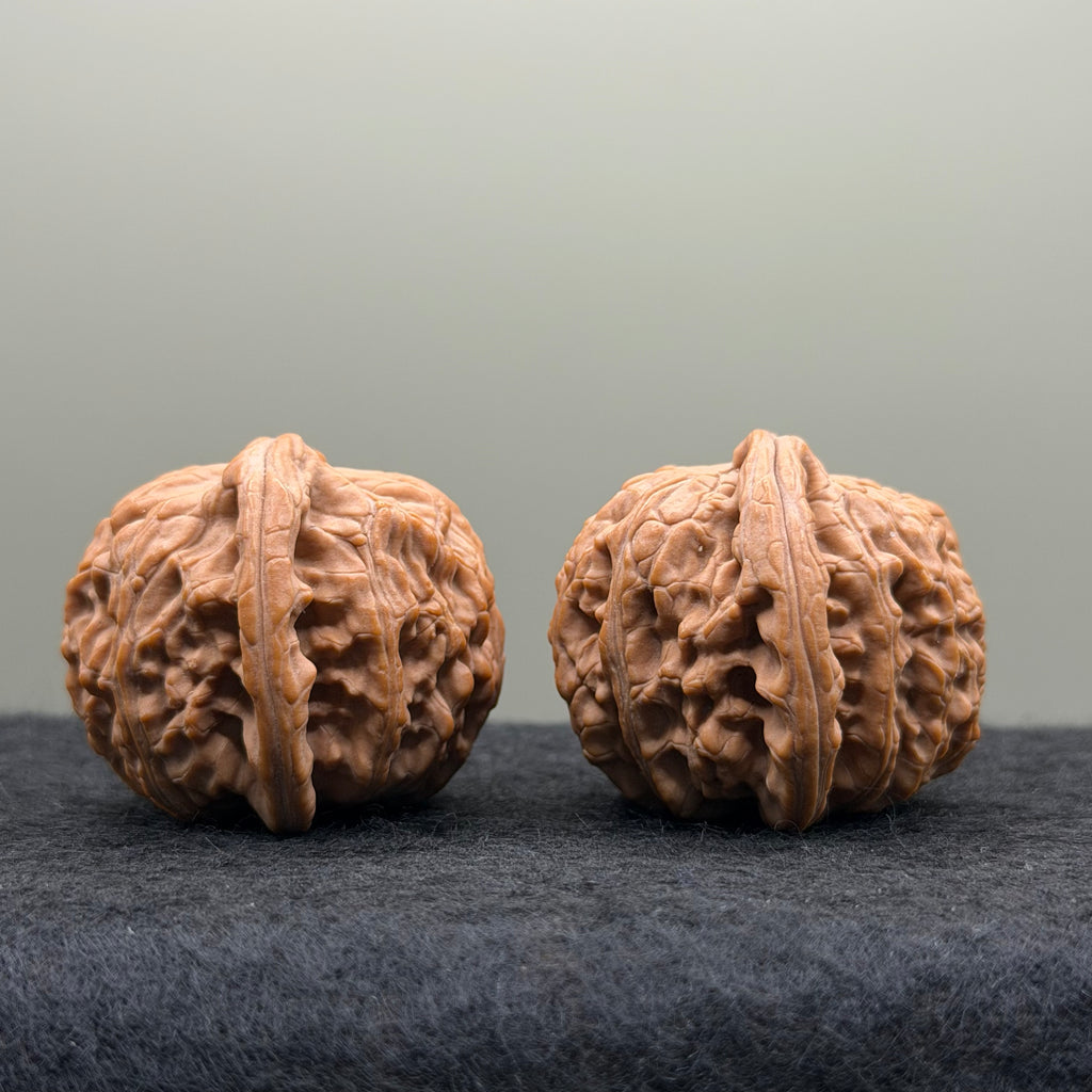 White Lion Head Wenwan Walnut