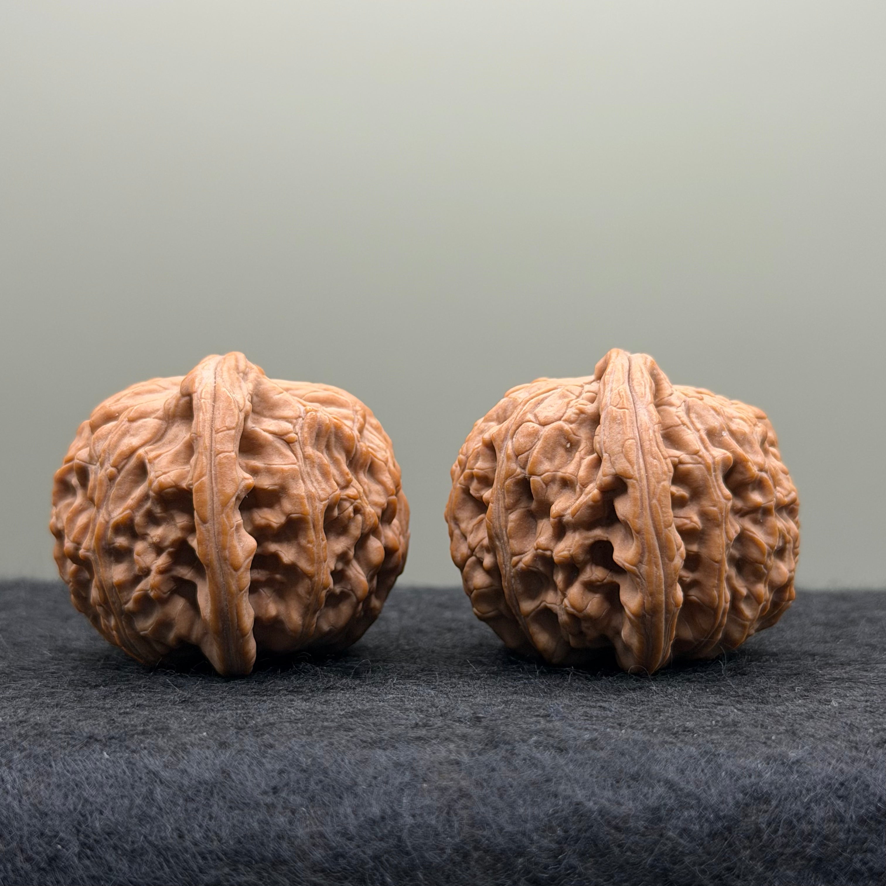 White Lion Head Wenwan Walnut
