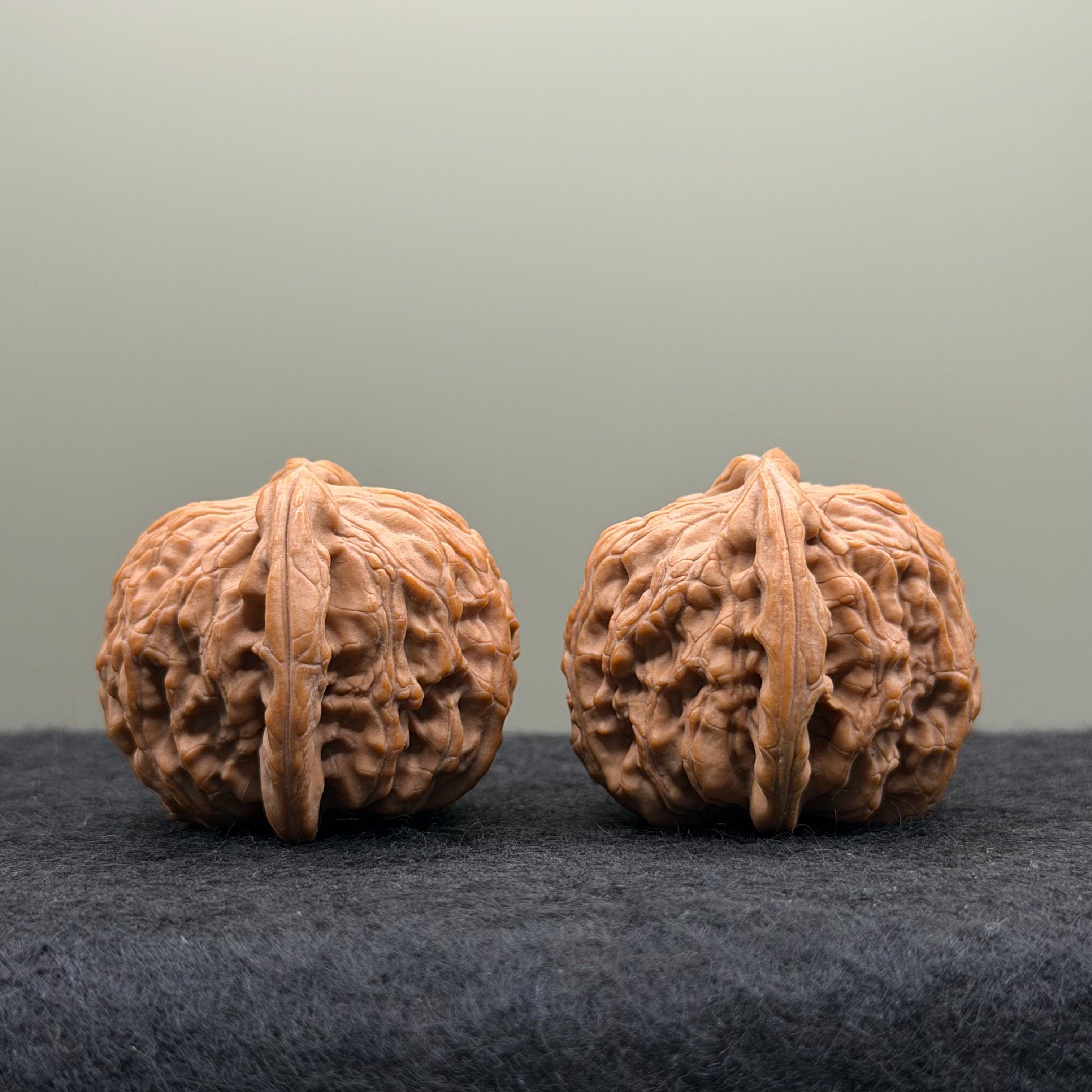 White Lion Head Wenwan Walnut