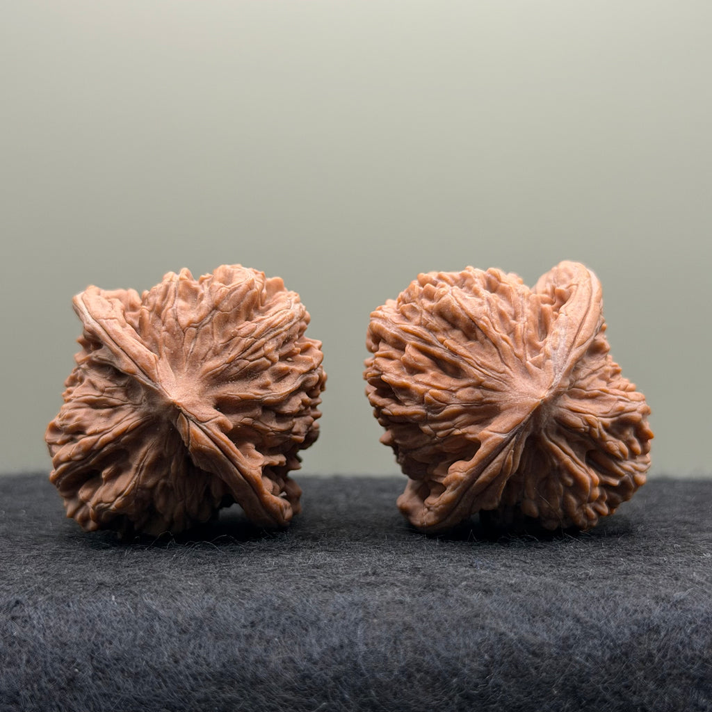 Four Towers Wenwan Walnut