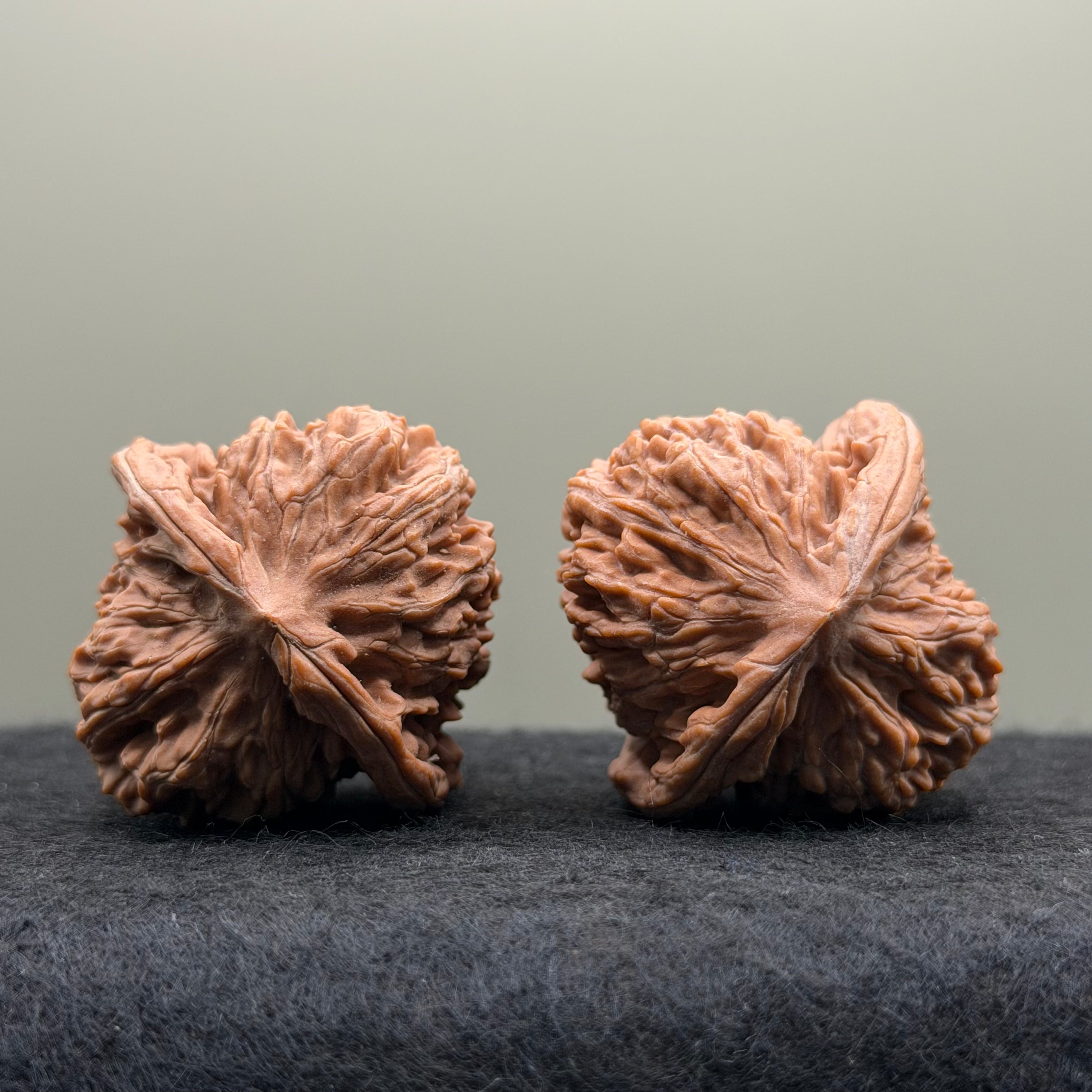 Sizuolou Lion Head Wenwan Walnut