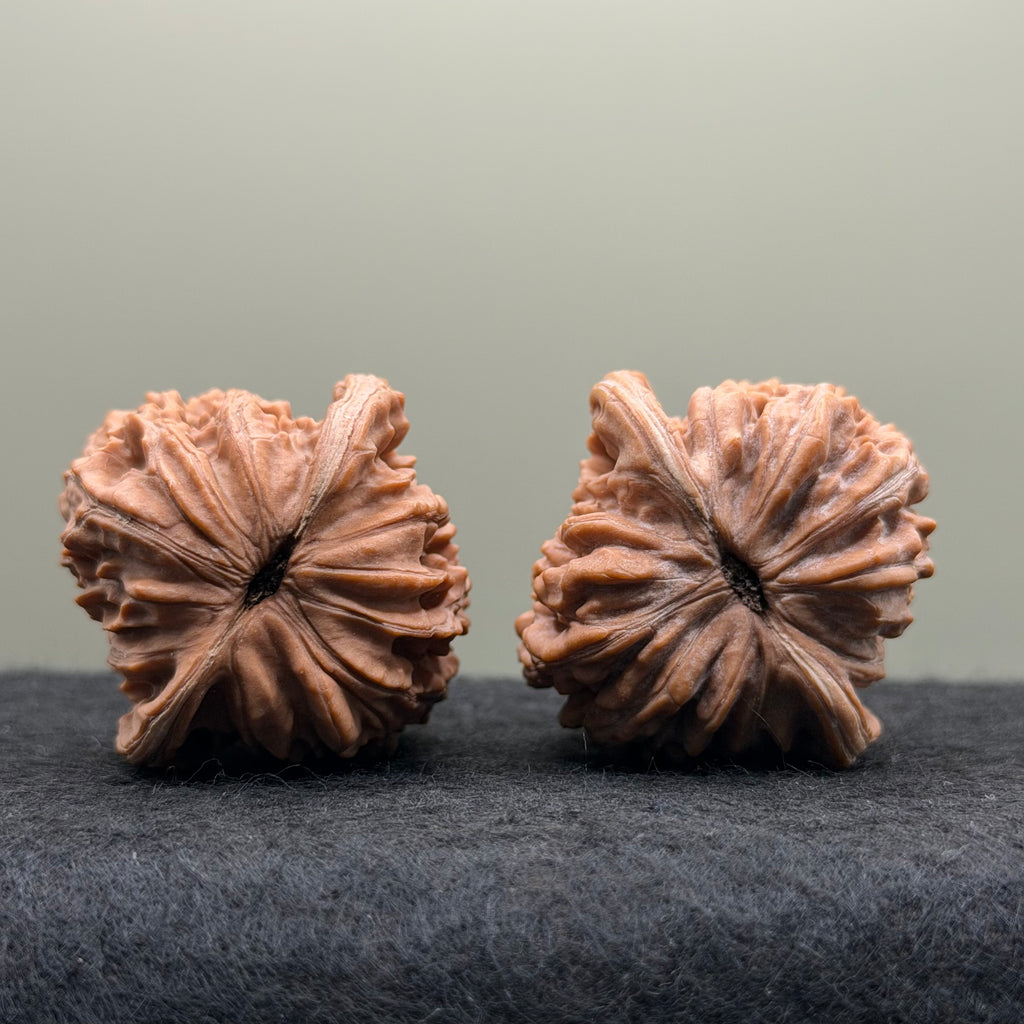 Four Towers Wenwan Walnut