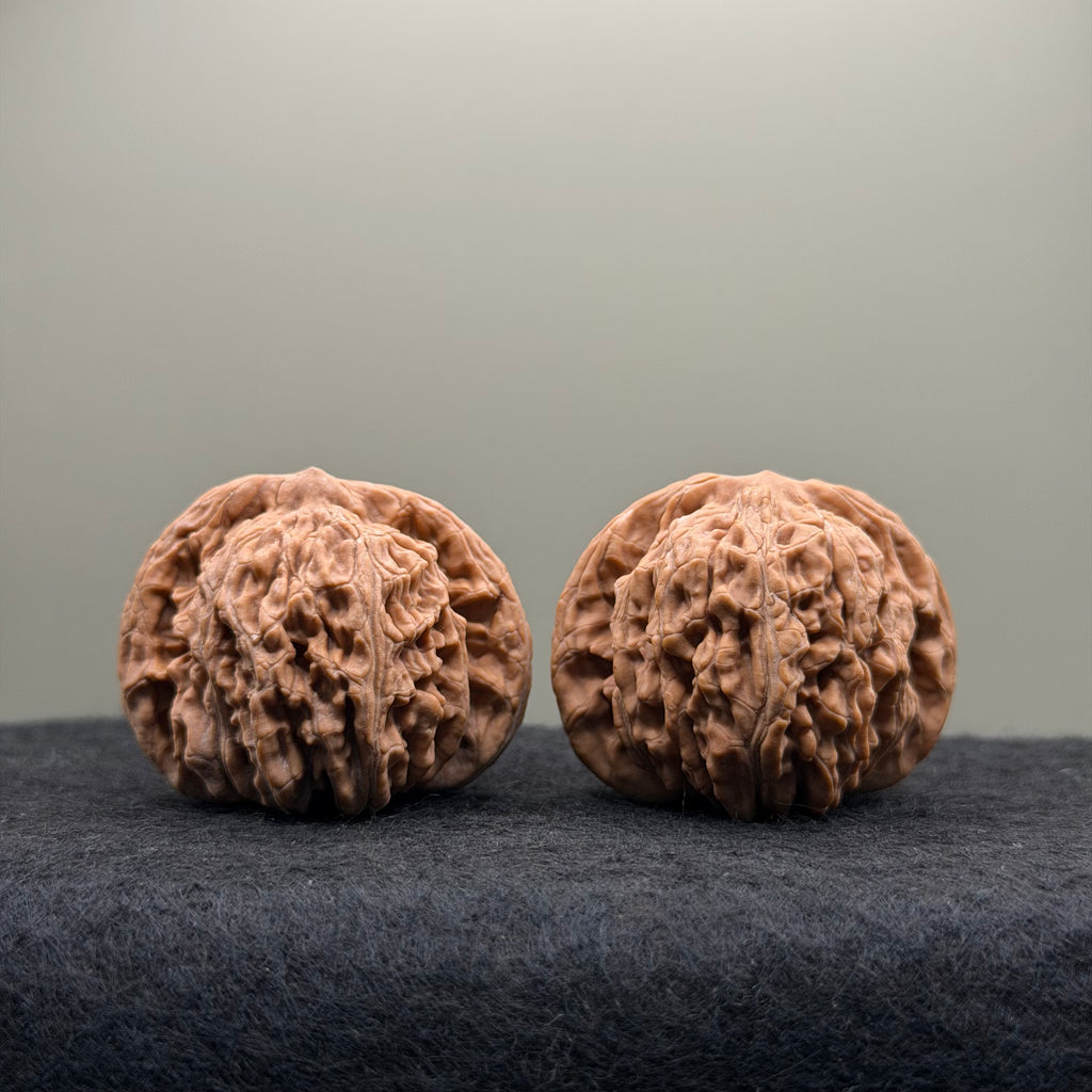 Four Towers Wenwan Walnut