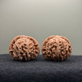 Four Towers Wenwan Walnut