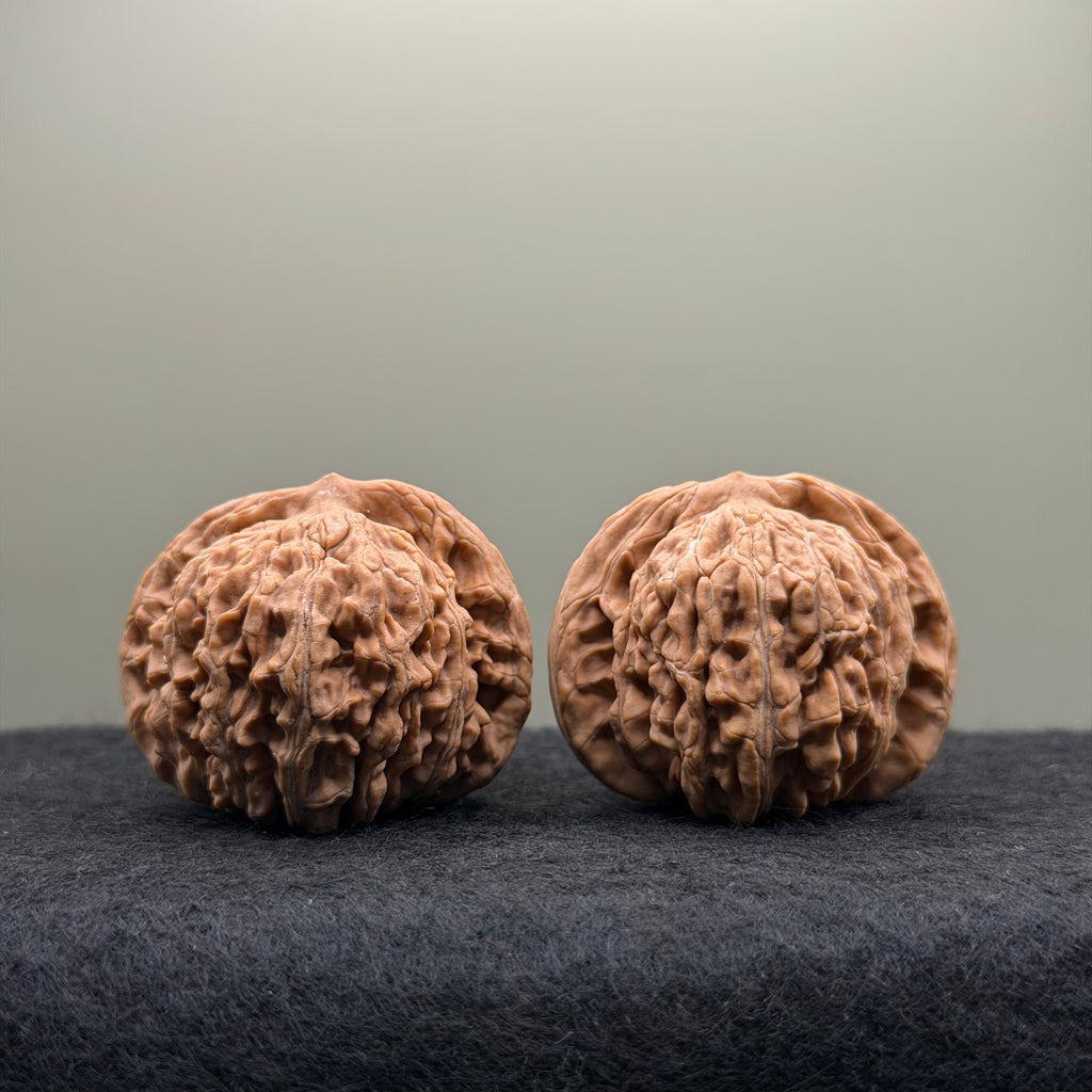 Four Towers Wenwan Walnut