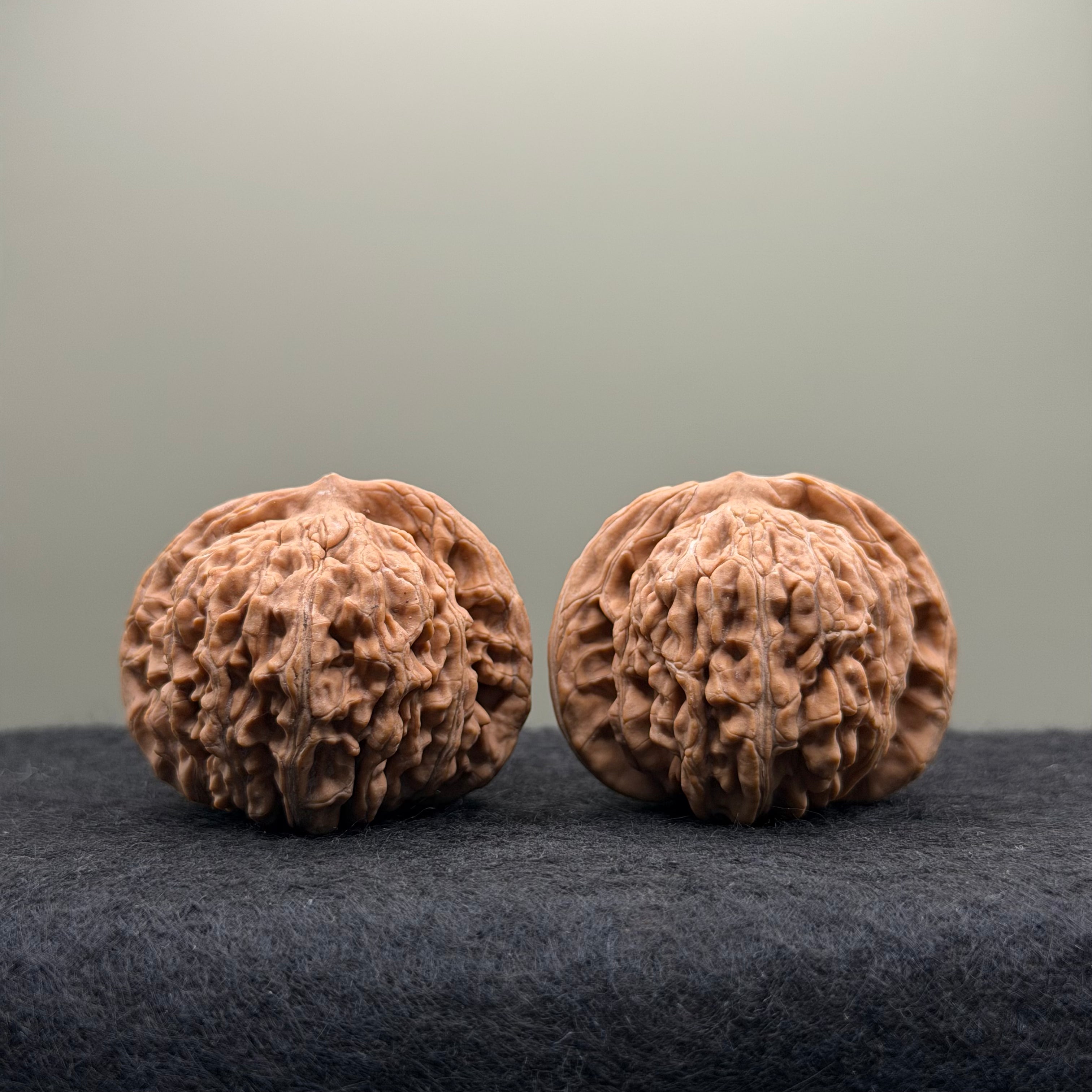 Four Towers Wenwan Walnut