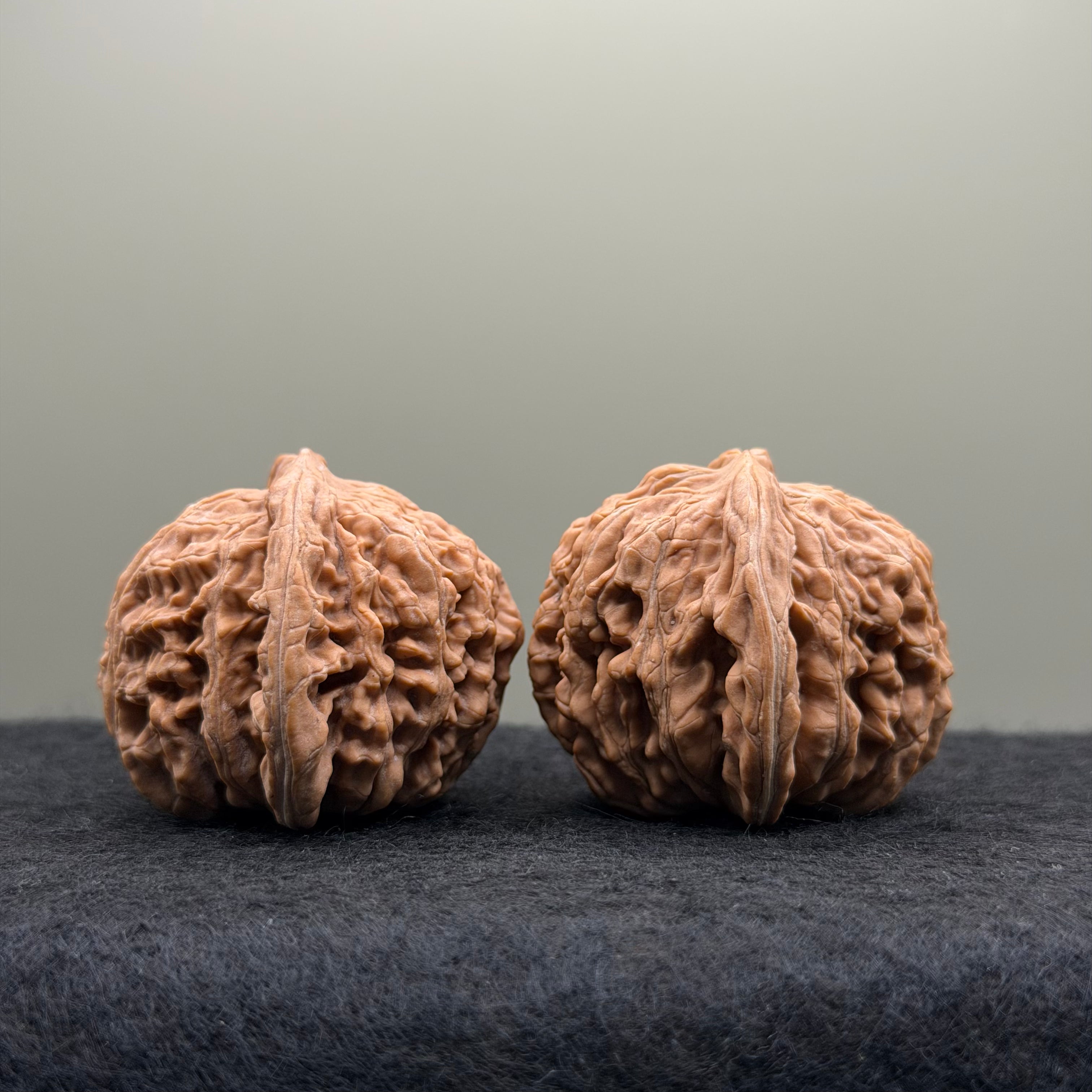 Four Towers Wenwan Walnut