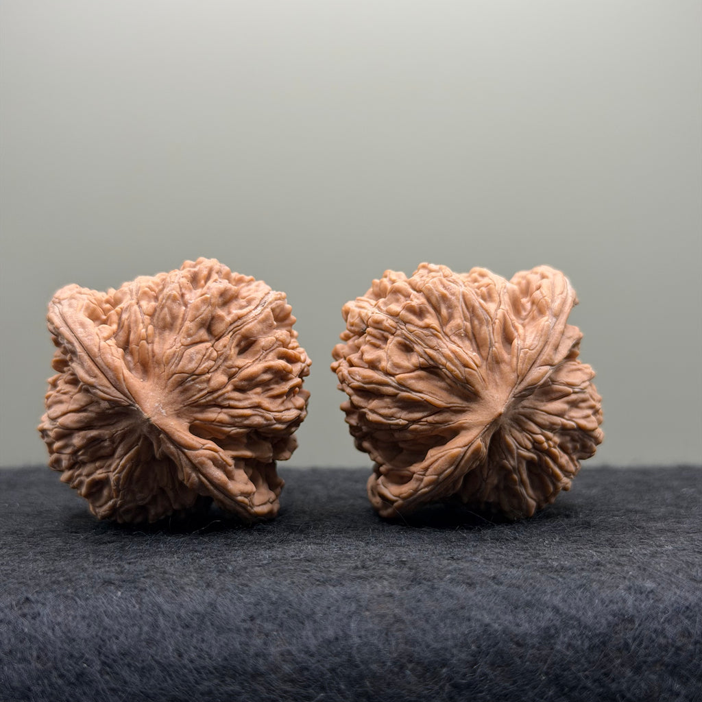 Four Towers Wenwan Walnut