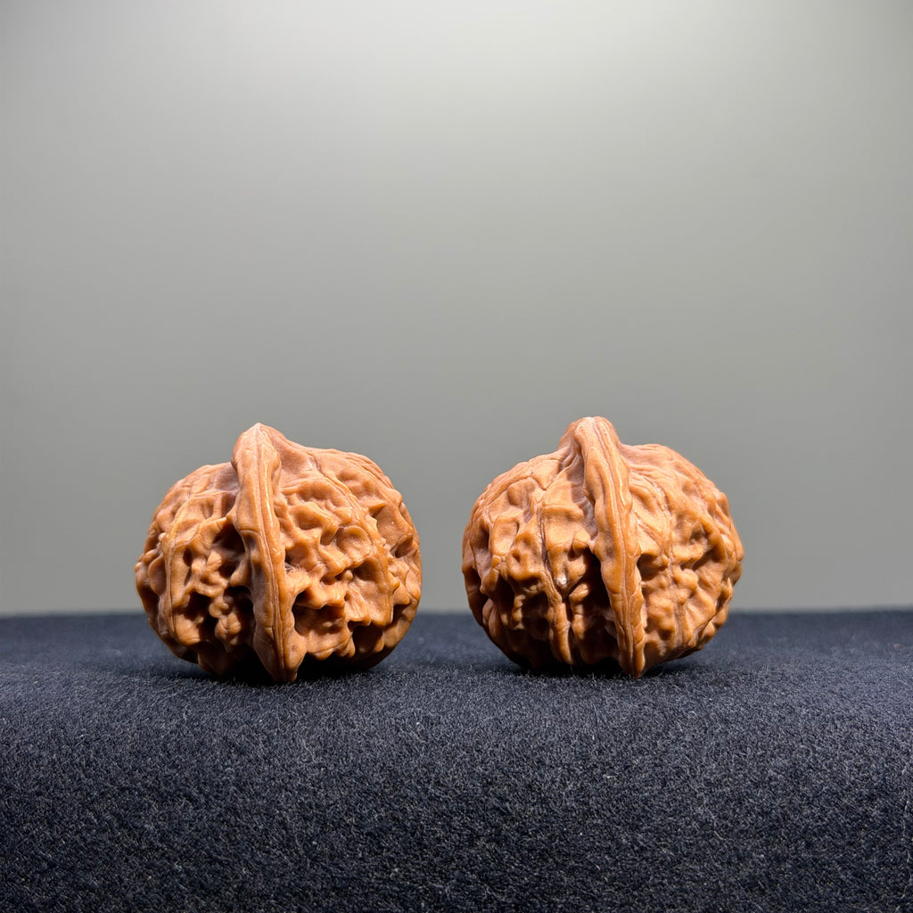 Heaven & Earth Wenwan Walnut · 33mm · Natural · Select Ritual