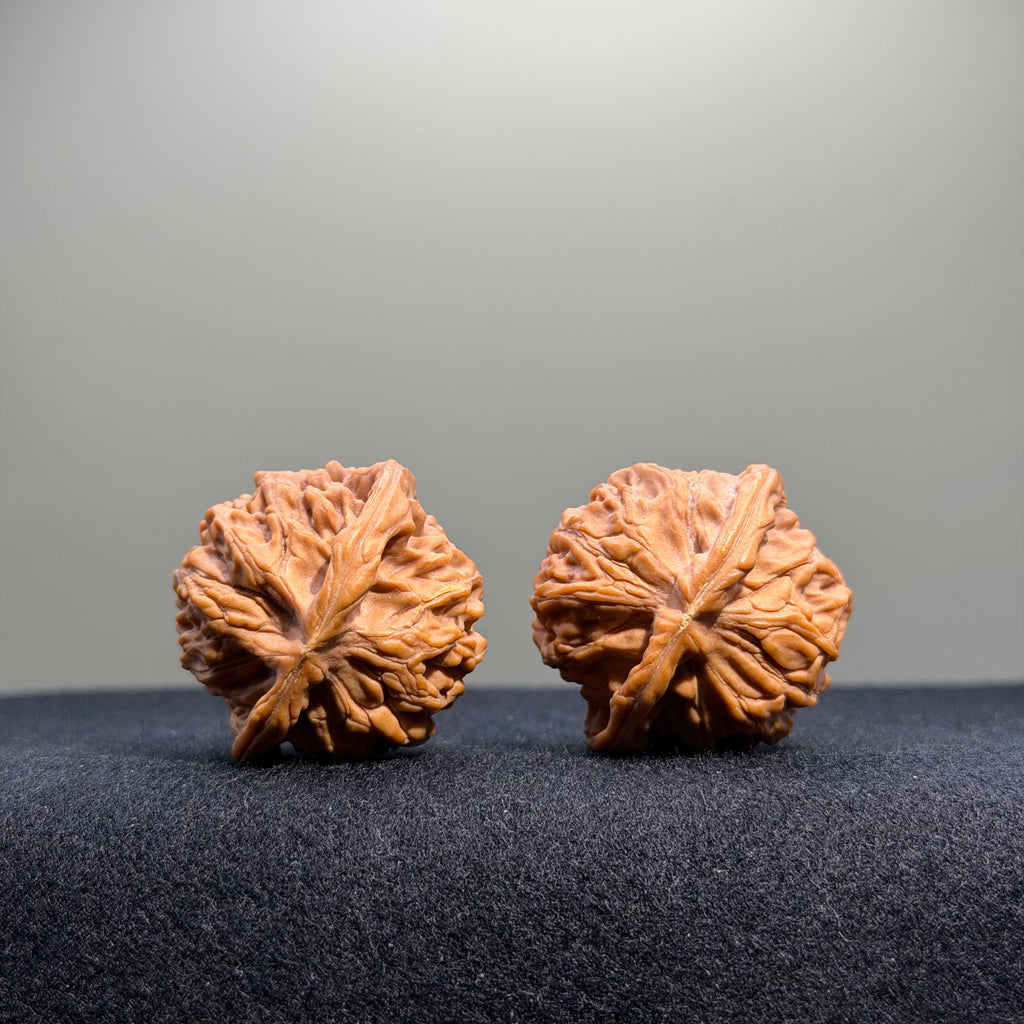 Heaven & Earth Wenwan Walnut · 33mm · Natural · Select Ritual
