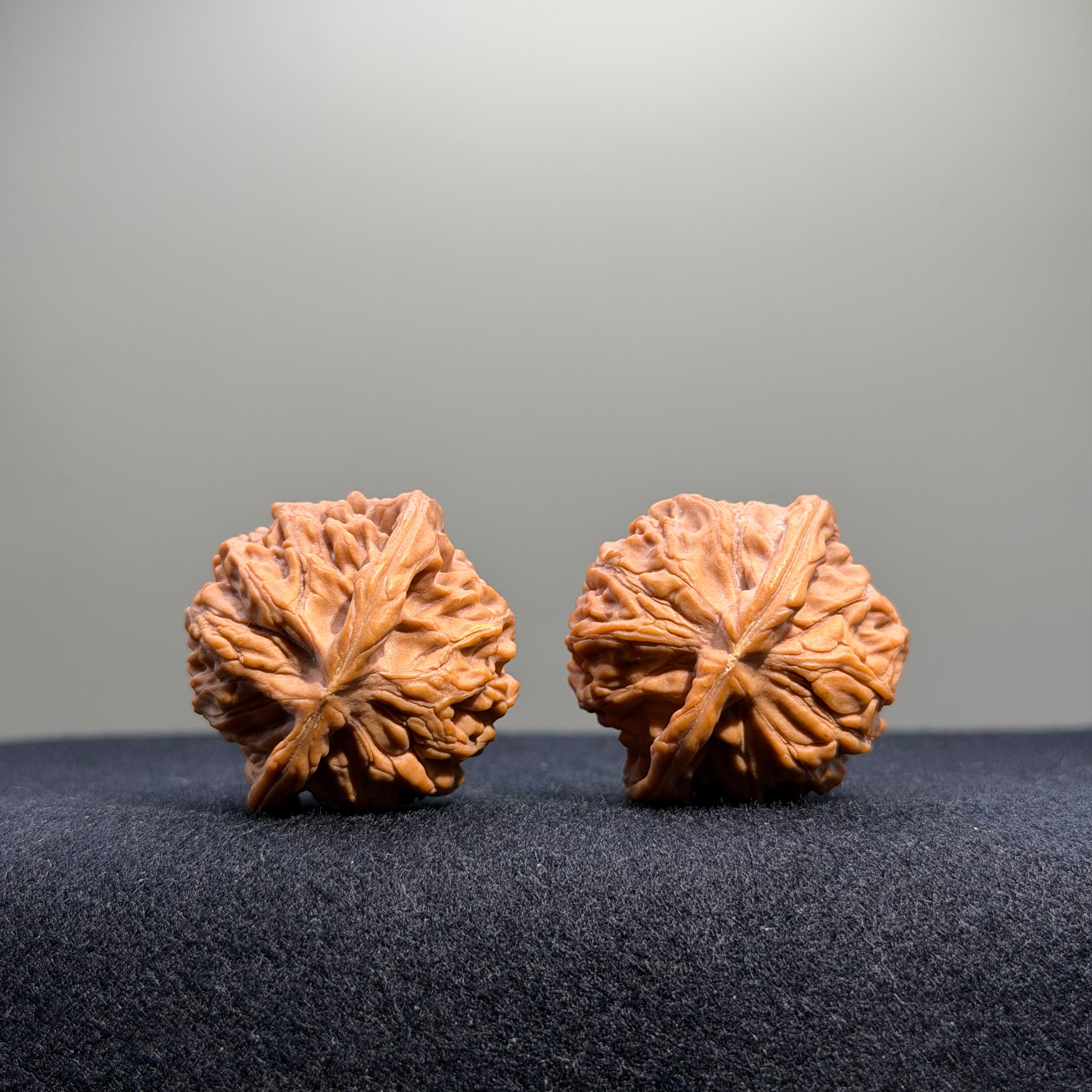 Heaven & Earth Wenwan Walnut · 33mm · Natural · Select Ritual