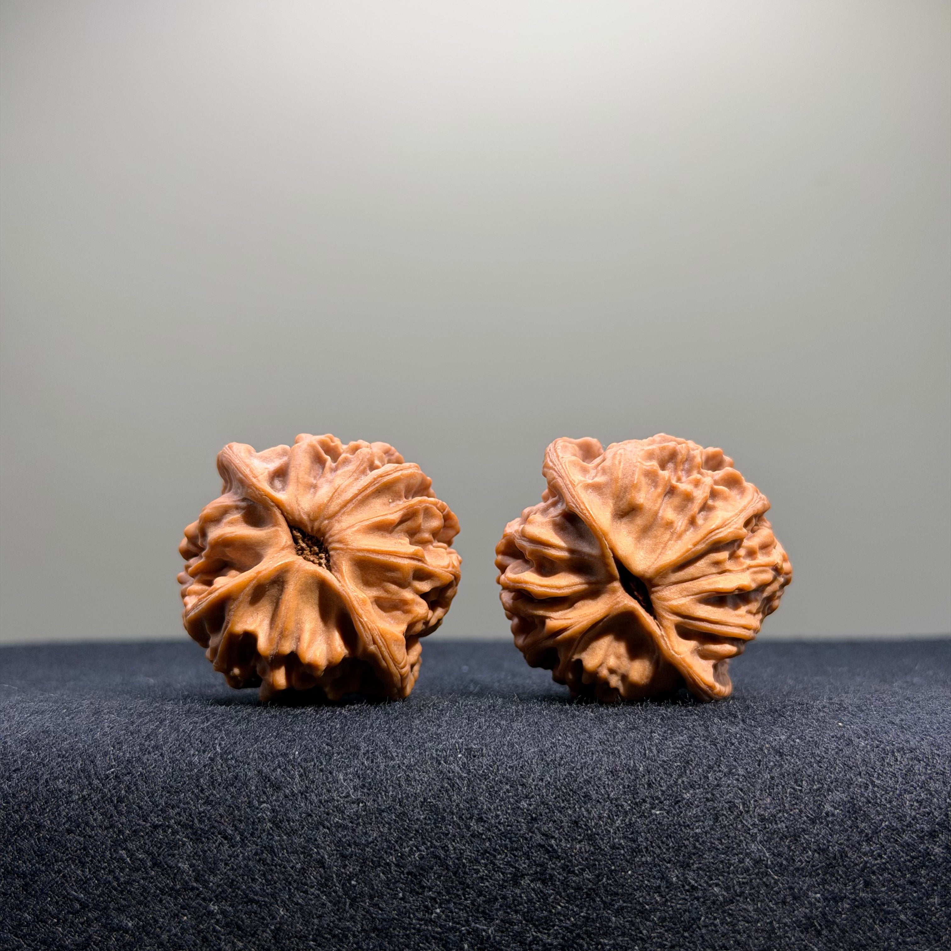 Heaven & Earth Wenwan Walnut · 33mm · Natural · Select Ritual
