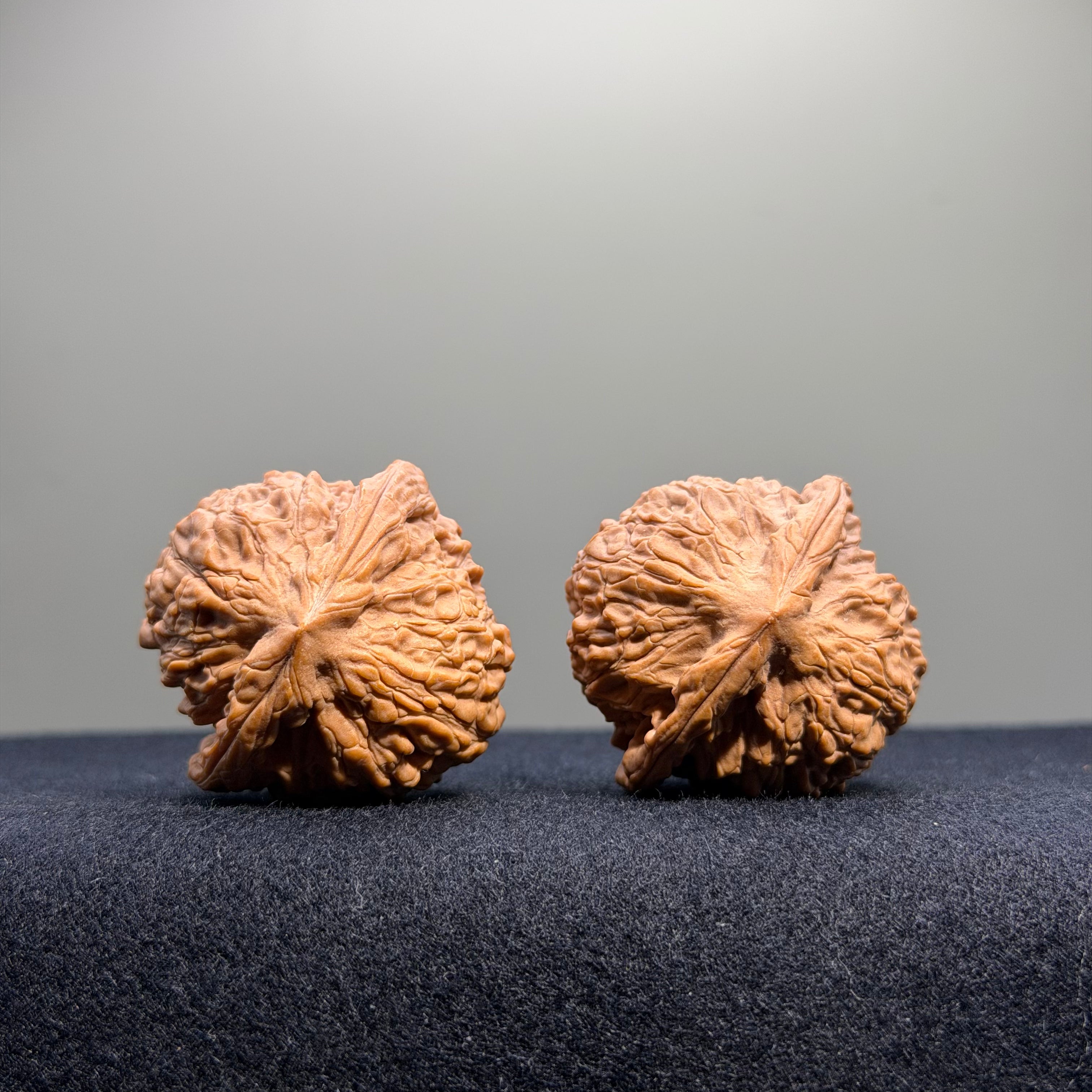 Longevity Peach Wenwan Walnut · 36mm · Natural · Select Ritual