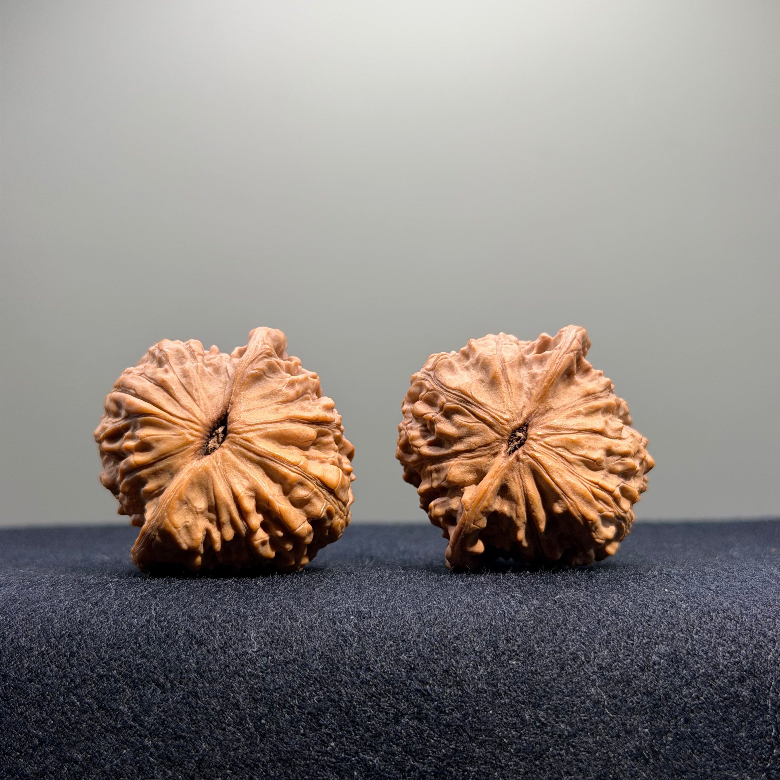 Longevity Peach Wenwan Walnut · 36mm · Natural · Select Ritual