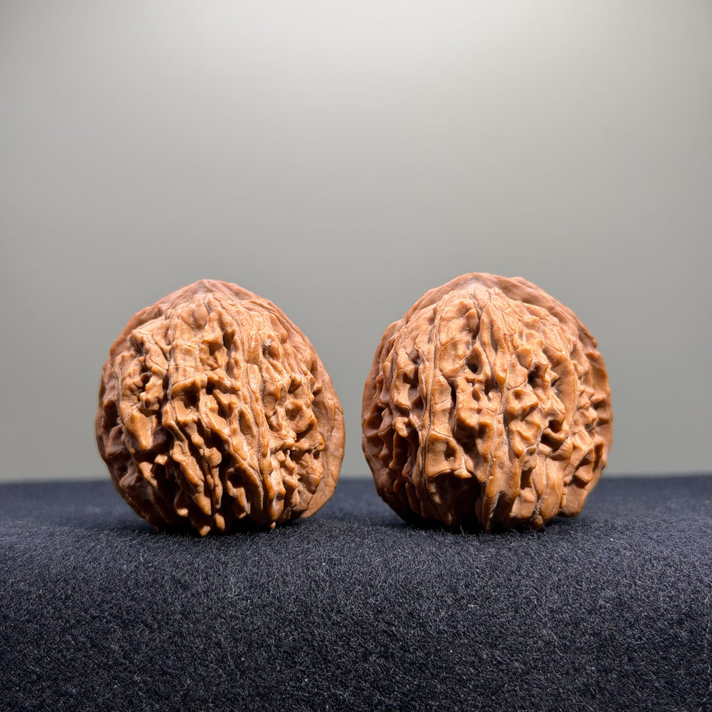 Zuo Ao Wenwan Walnut · 35mm · Natural · Entry Ritual