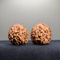 Zuo Ao Wenwan Walnut · 35mm · Natural · Entry Ritual