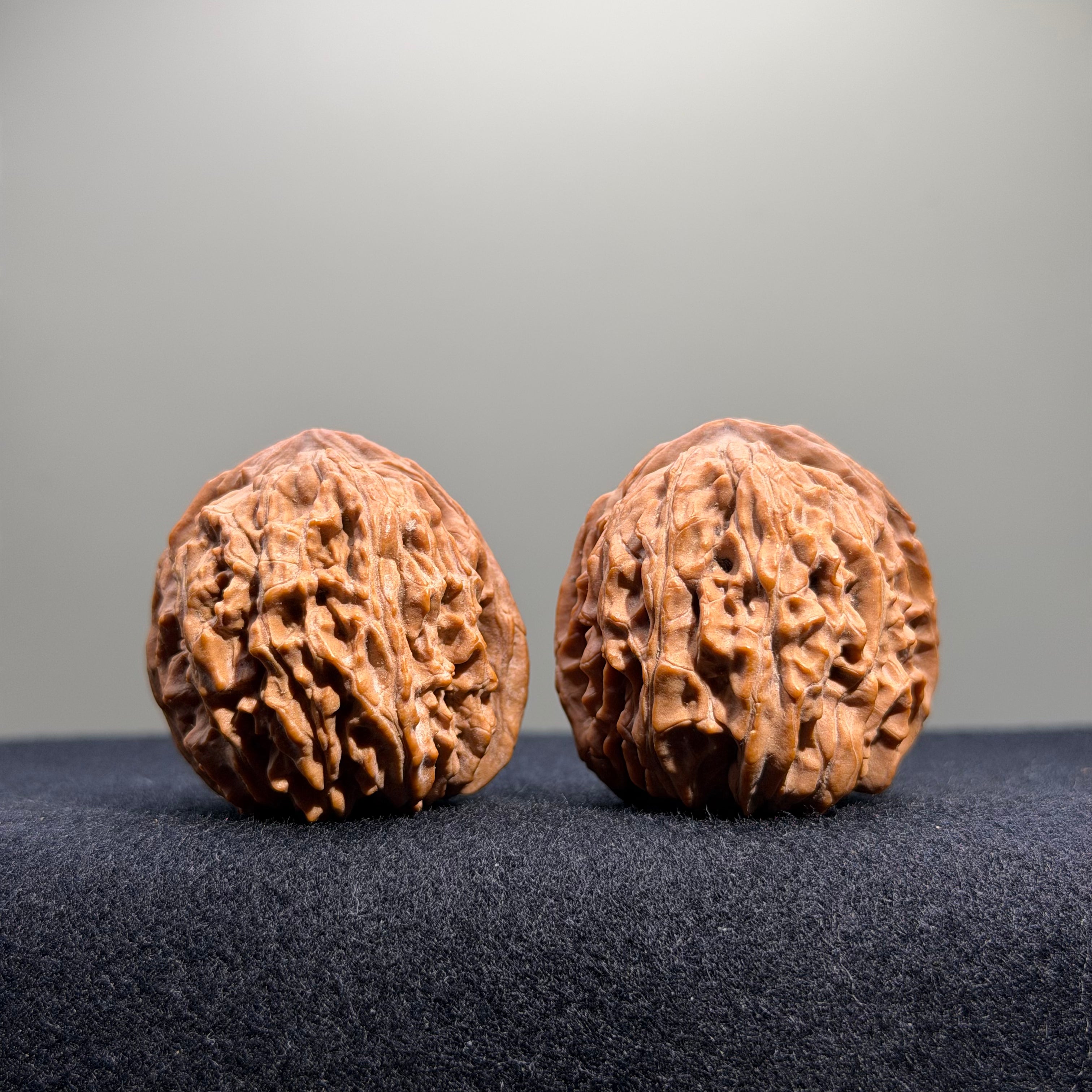 Zuo Ao Wenwan Walnut · 35mm · Natural · Entry Ritual